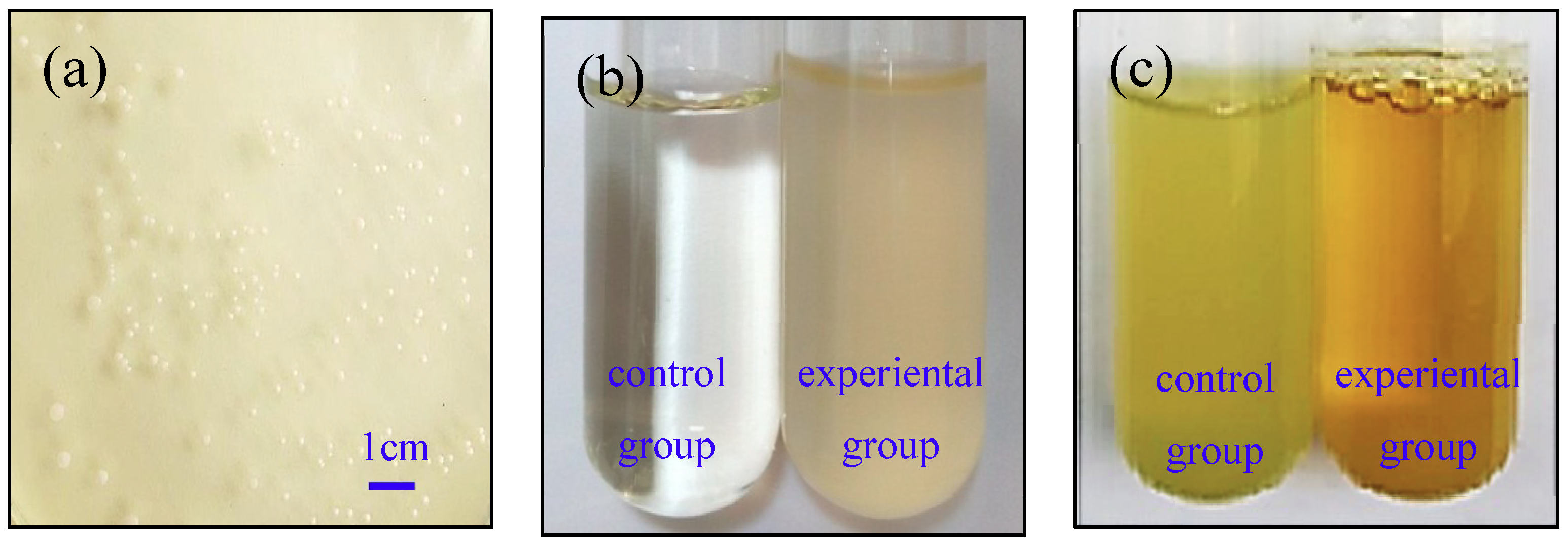 Minerals 08 00594 g002