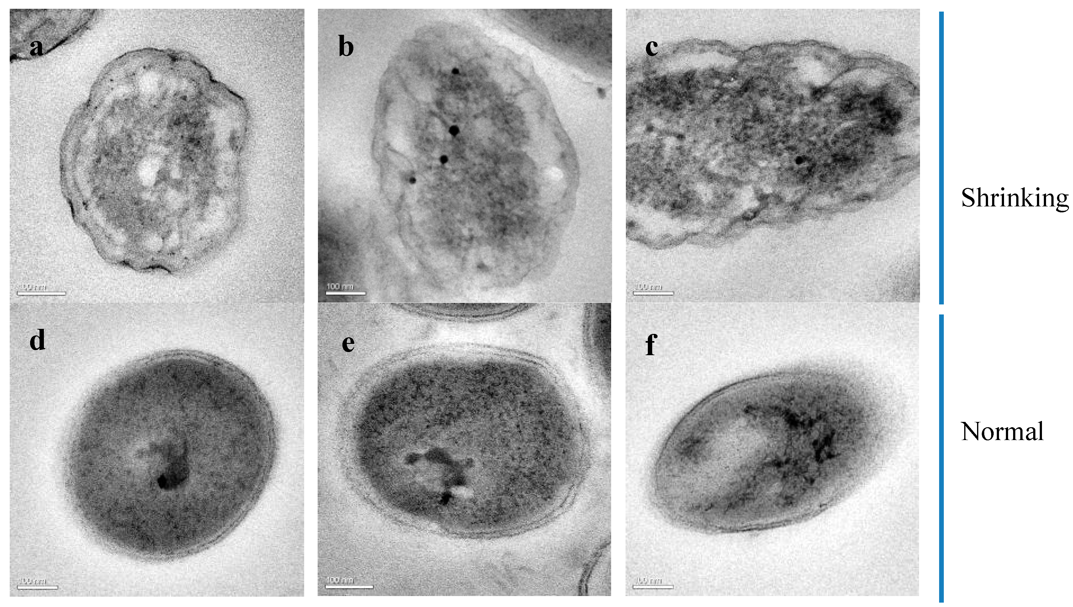 Minerals 08 00594 g009