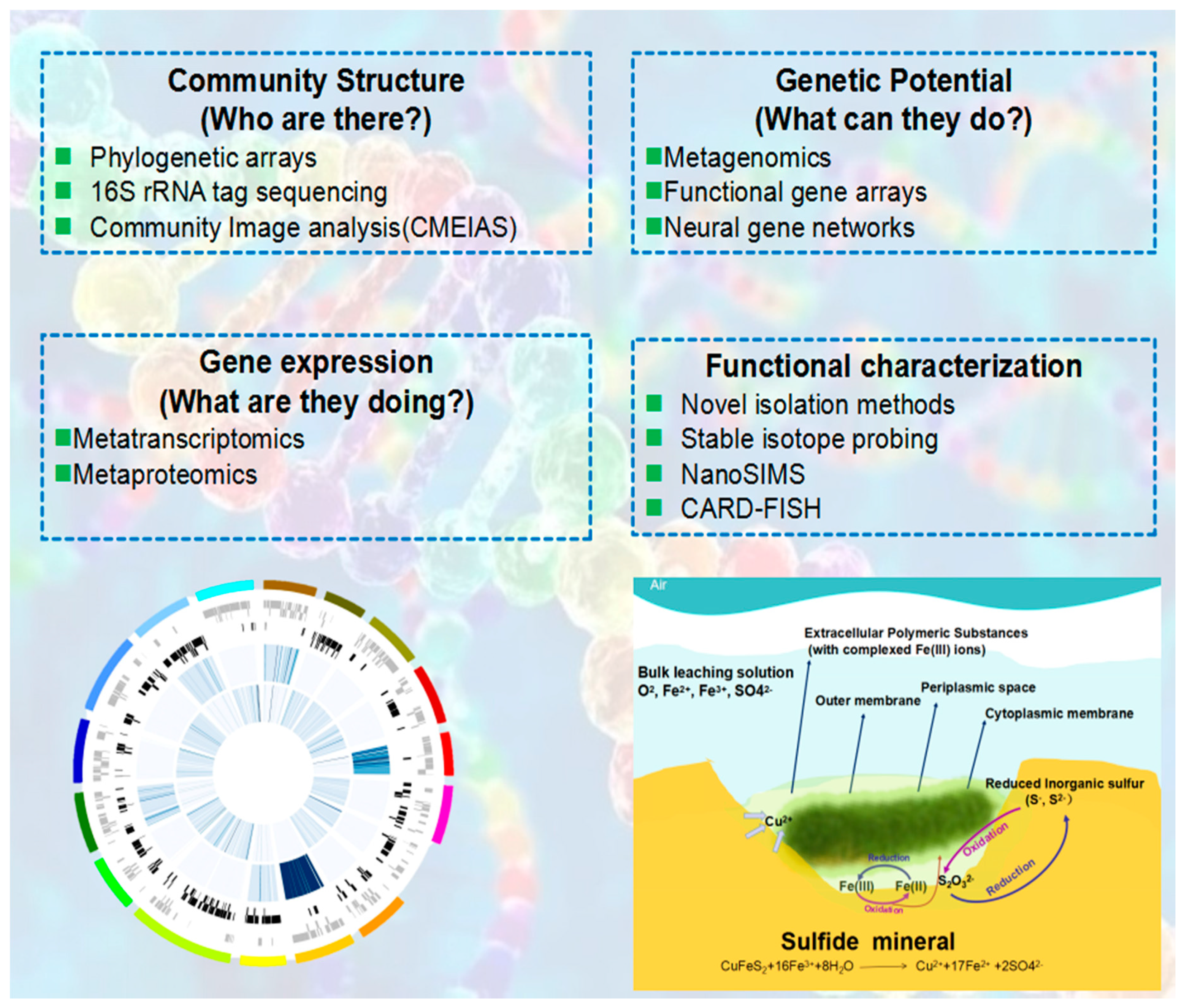 Minerals 08 00596 g002