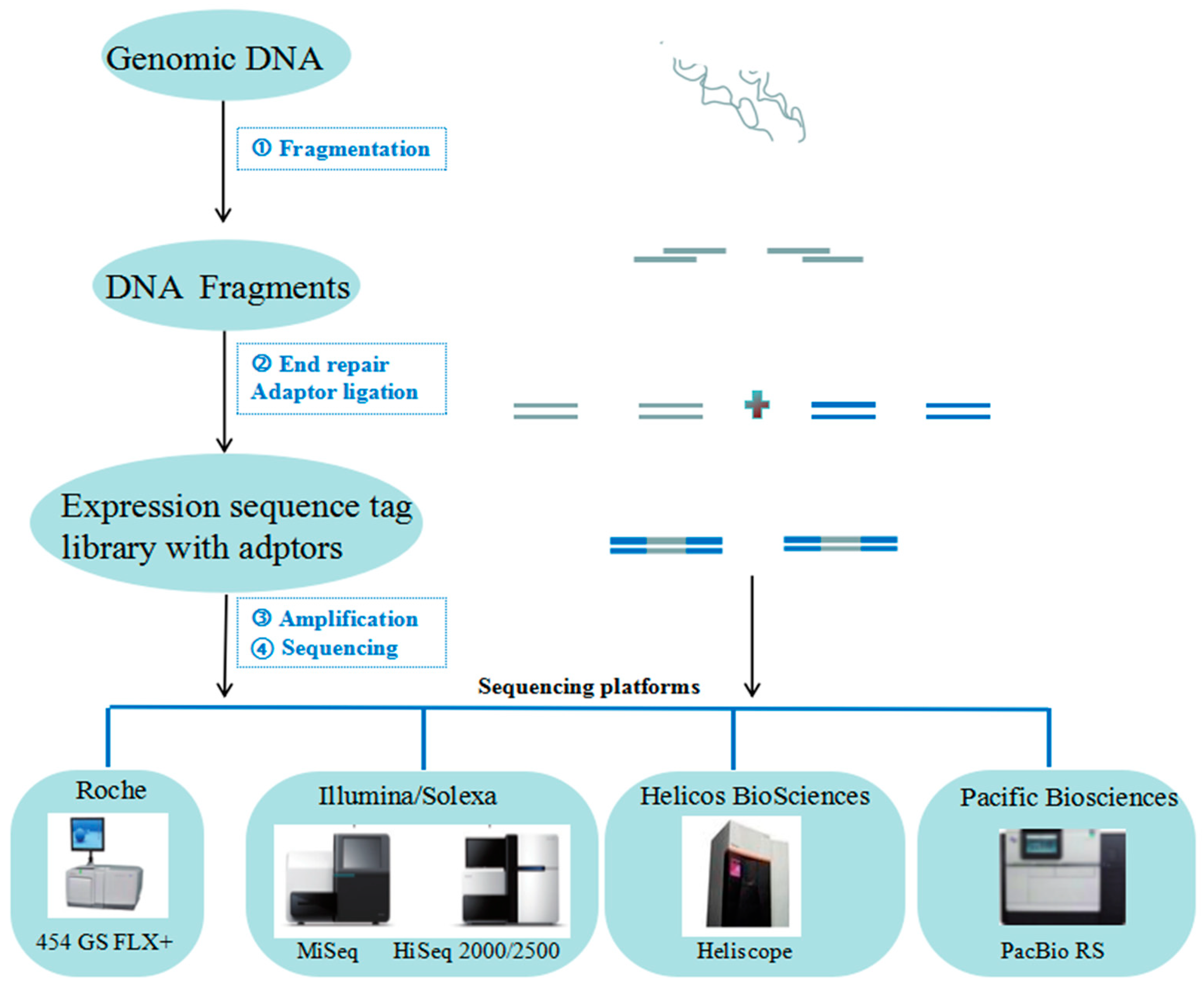 Minerals 08 00596 g003