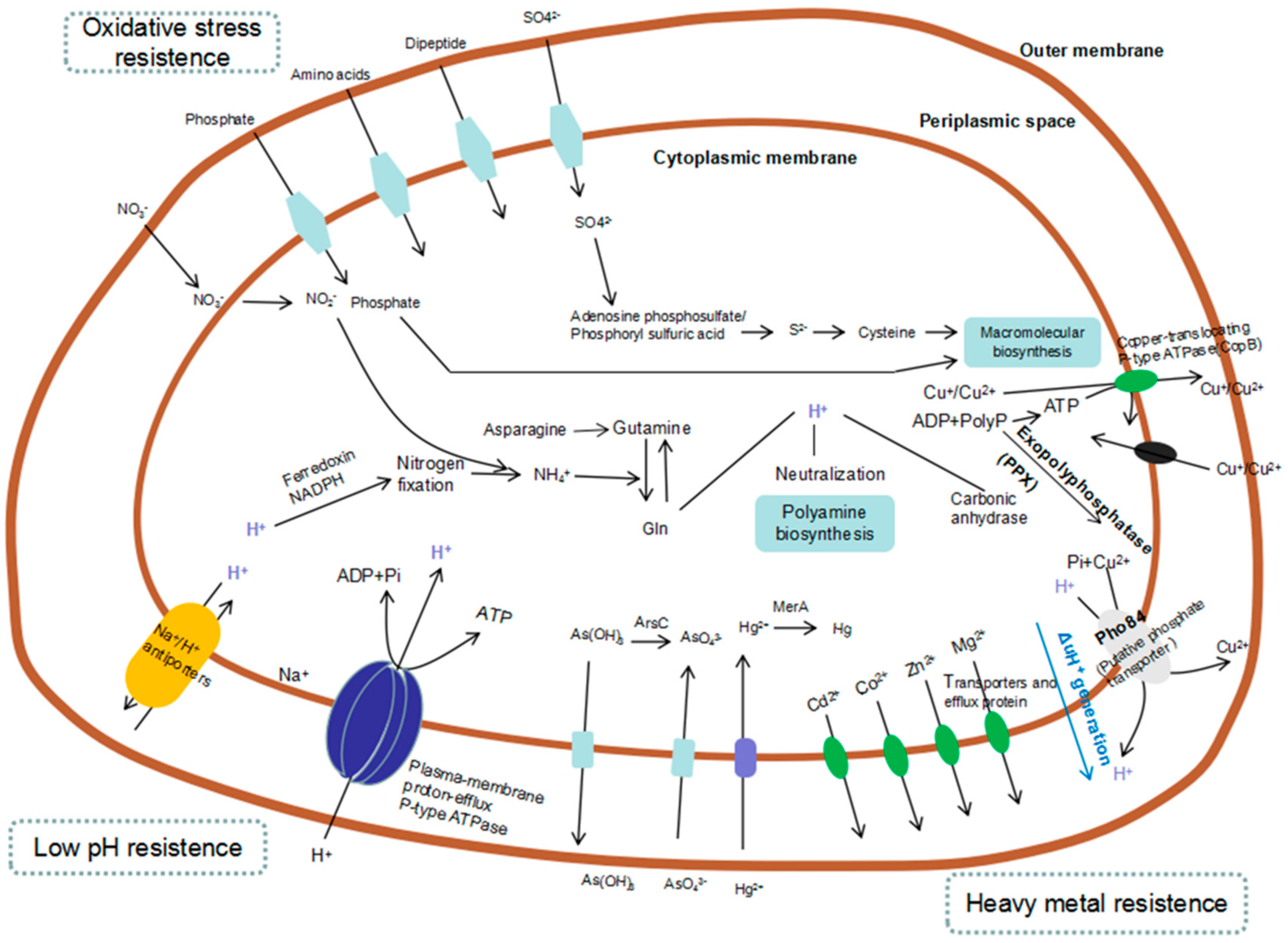 Minerals 08 00596 g005
