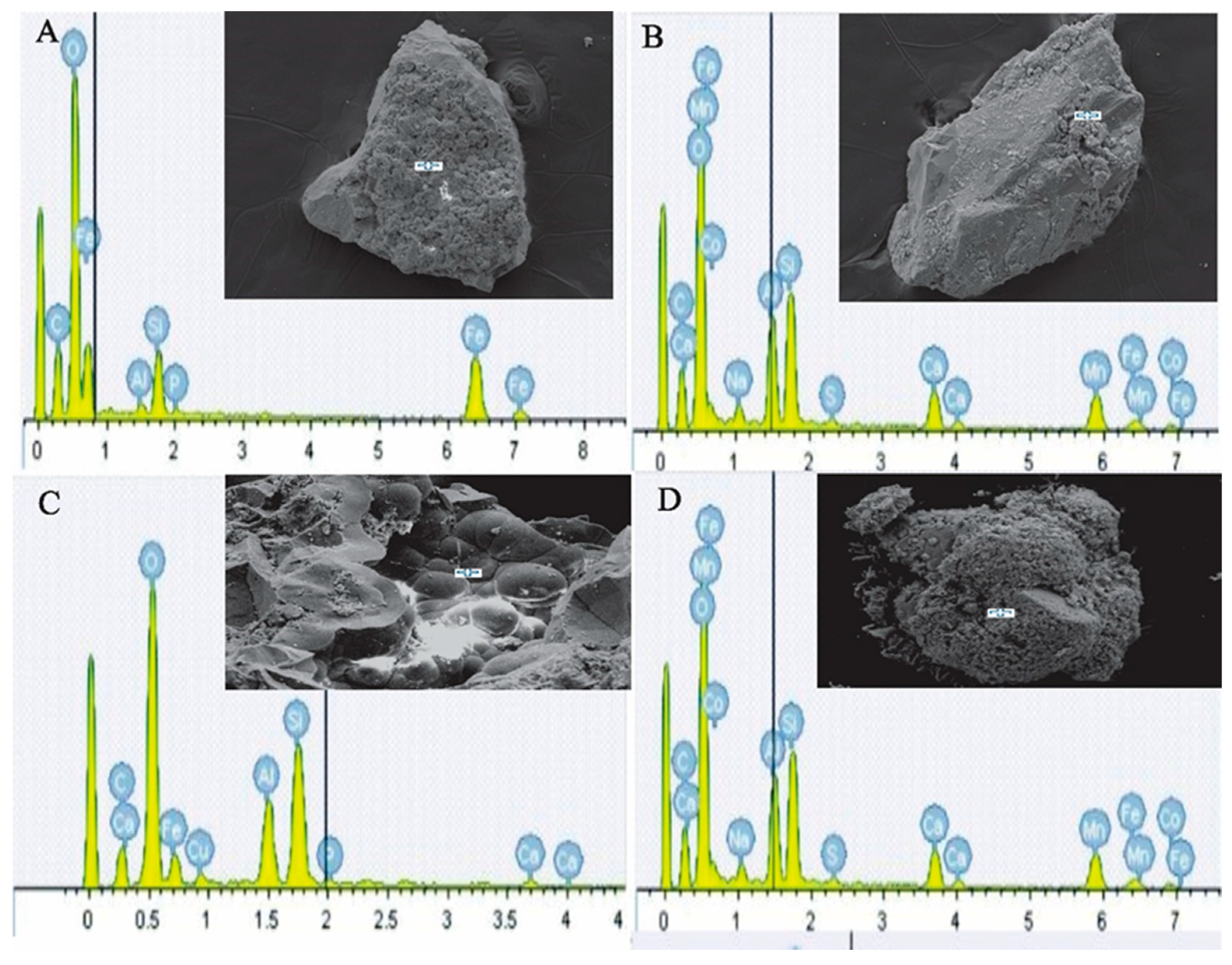 Minerals 09 00019 g006