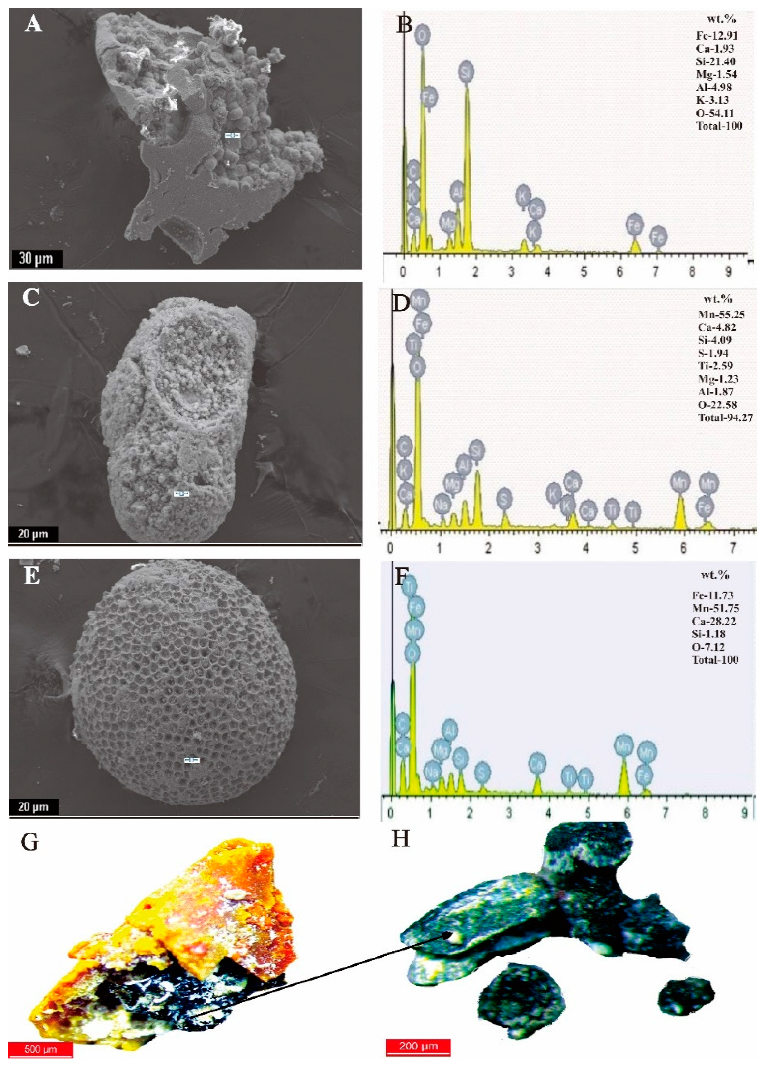 Minerals 09 00019 g013