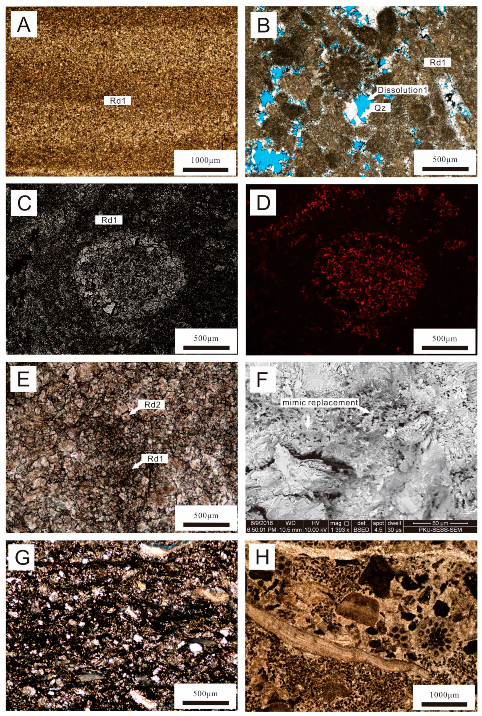 Minerals 09 00032 g004