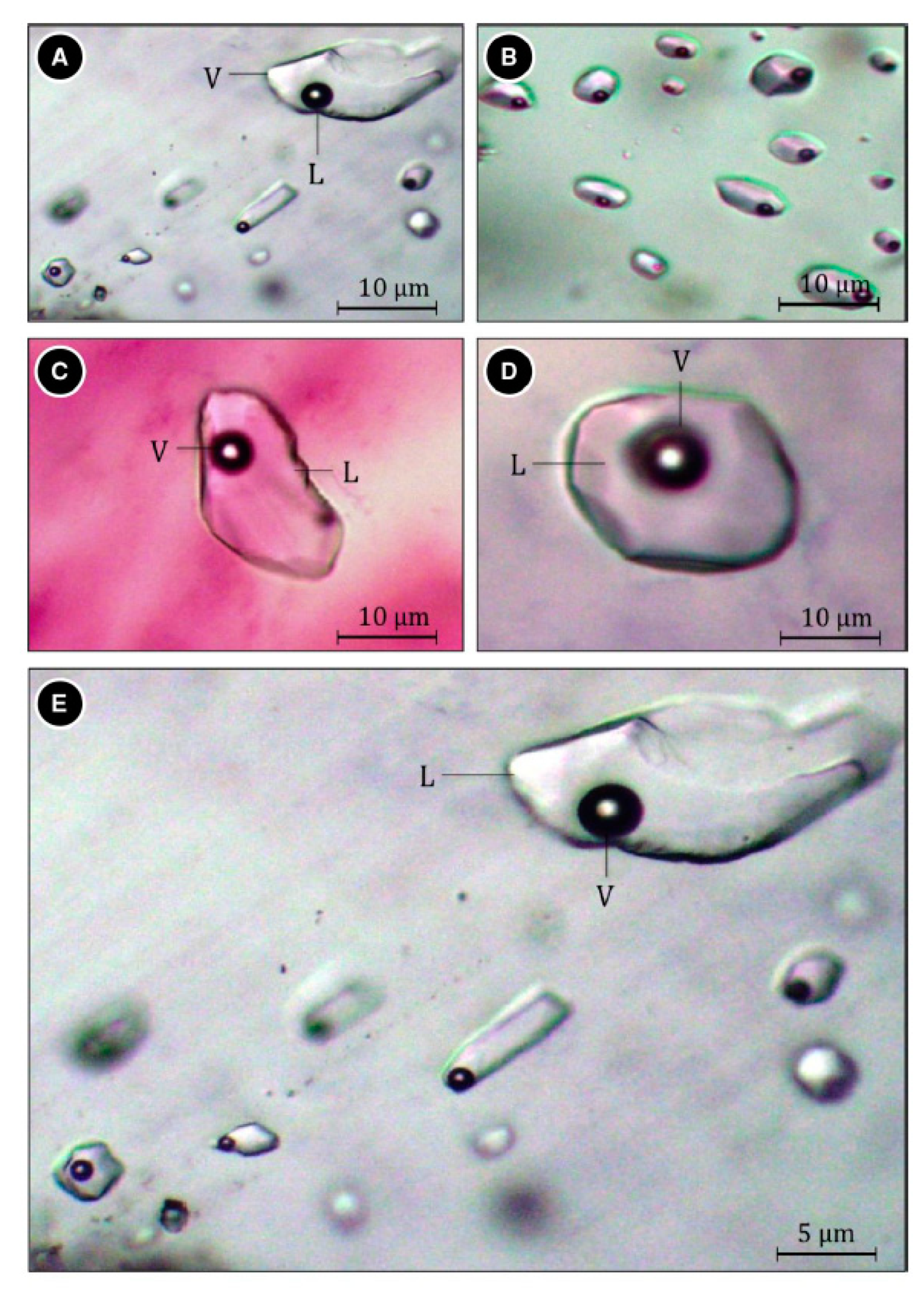 Minerals 09 00035 g006