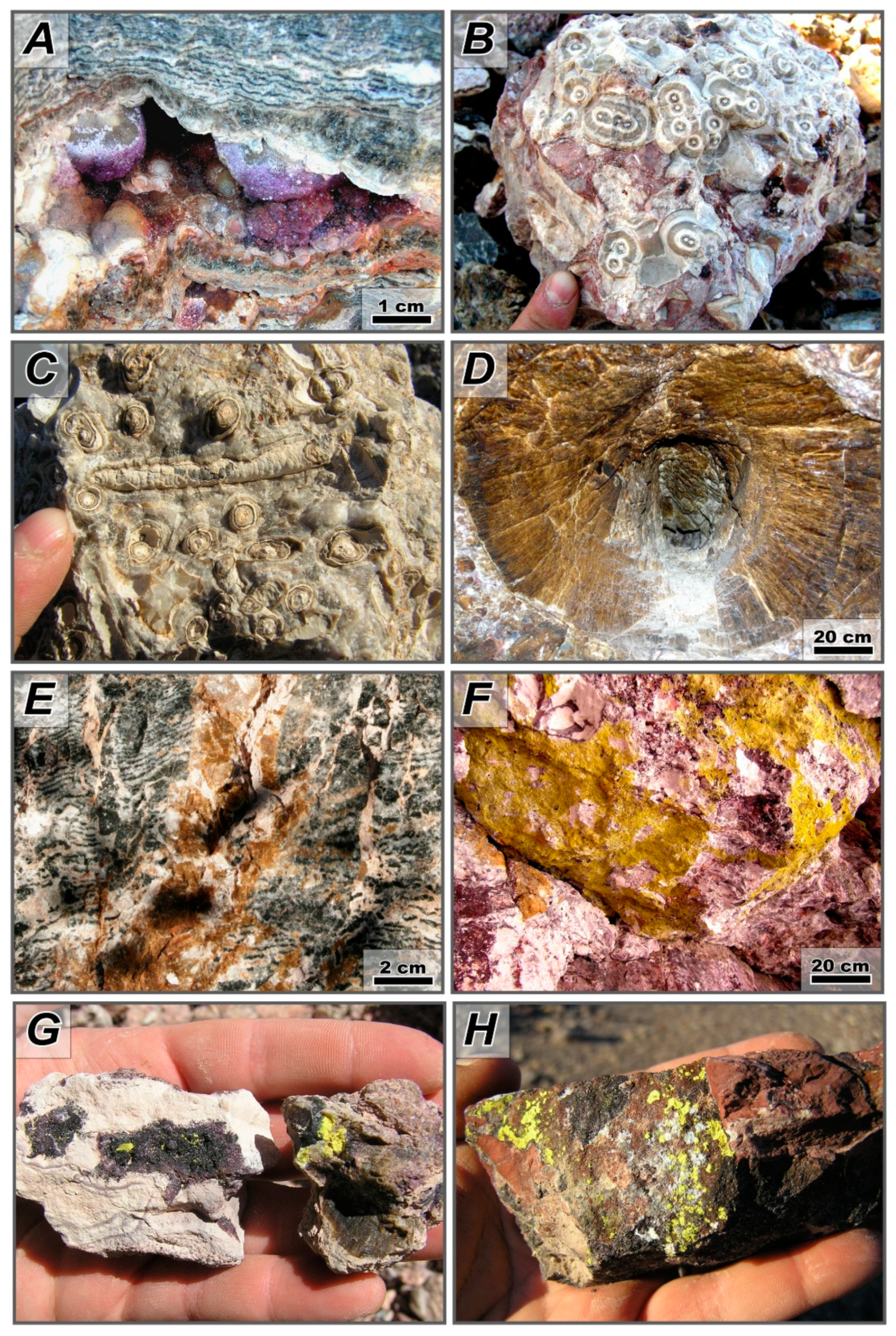Minerals 09 00058 g004