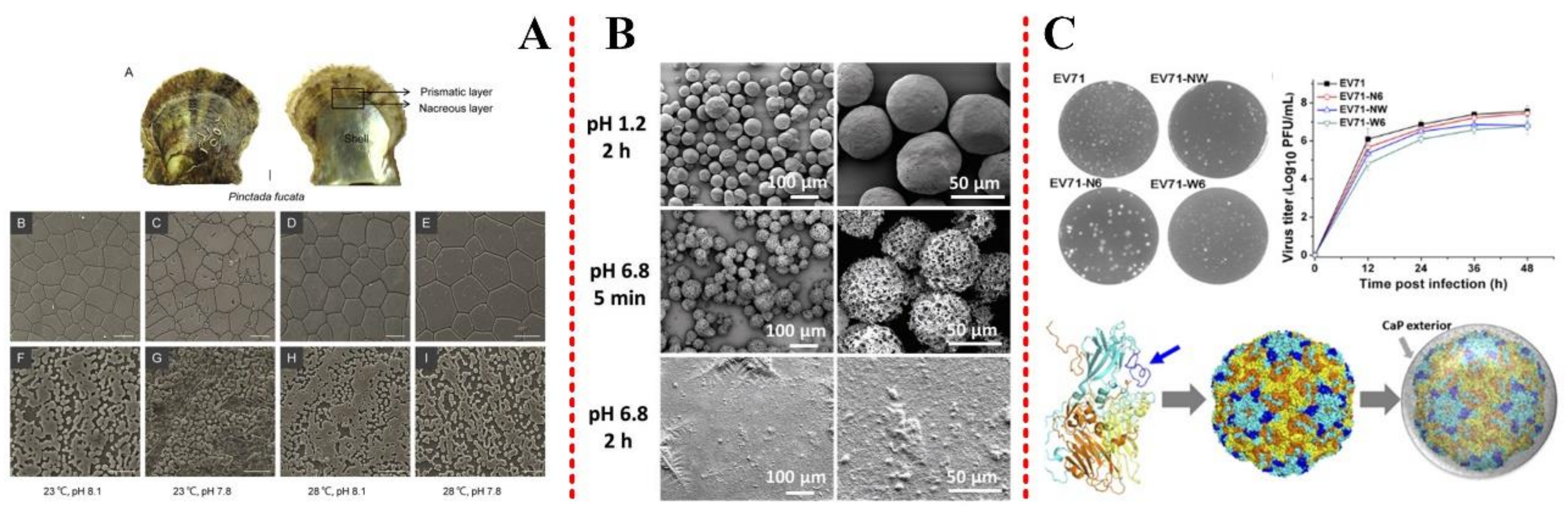 Minerals 09 00068 g001 Minerals 09 00068 g001