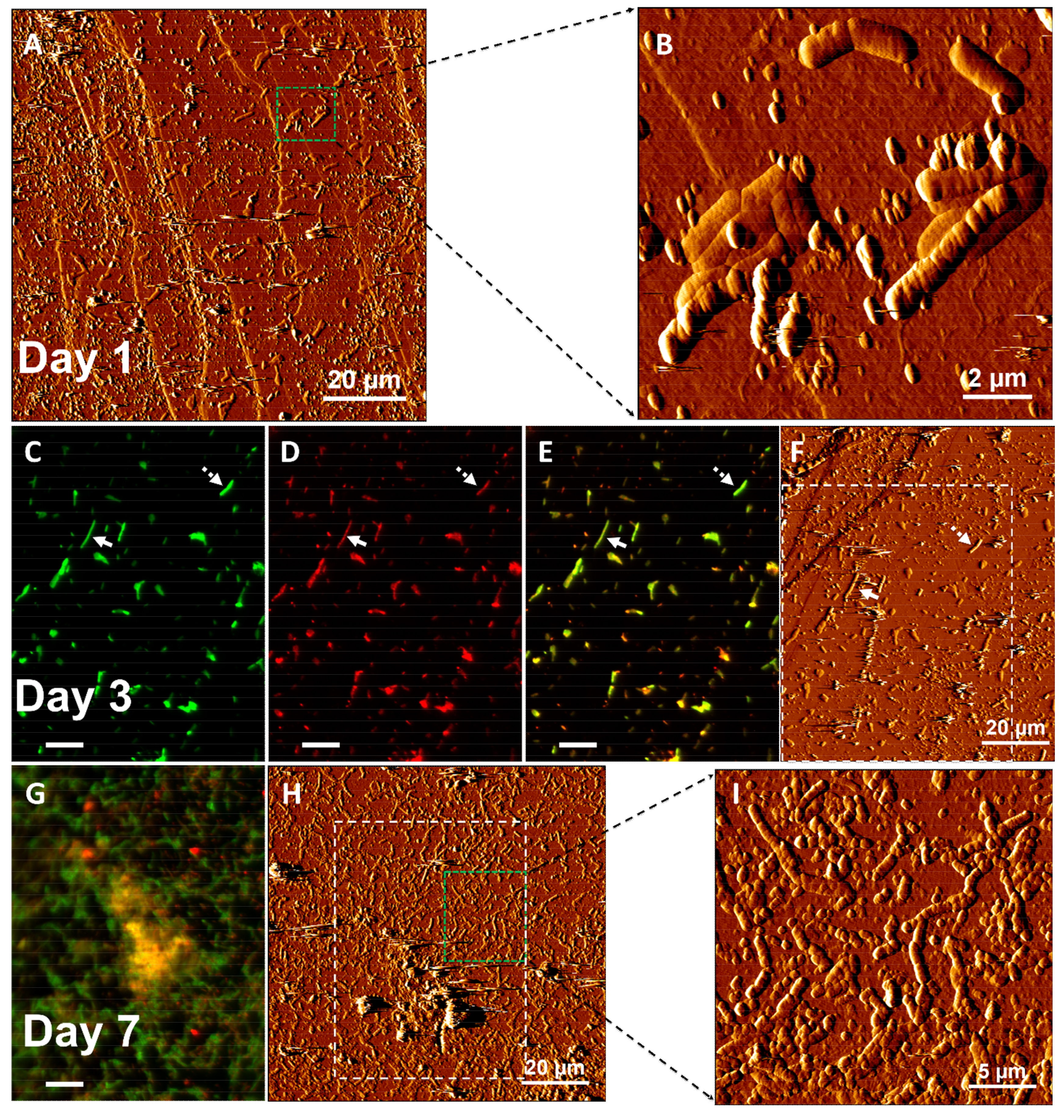 Minerals 09 00069 g002 Minerals 09 00069 g002