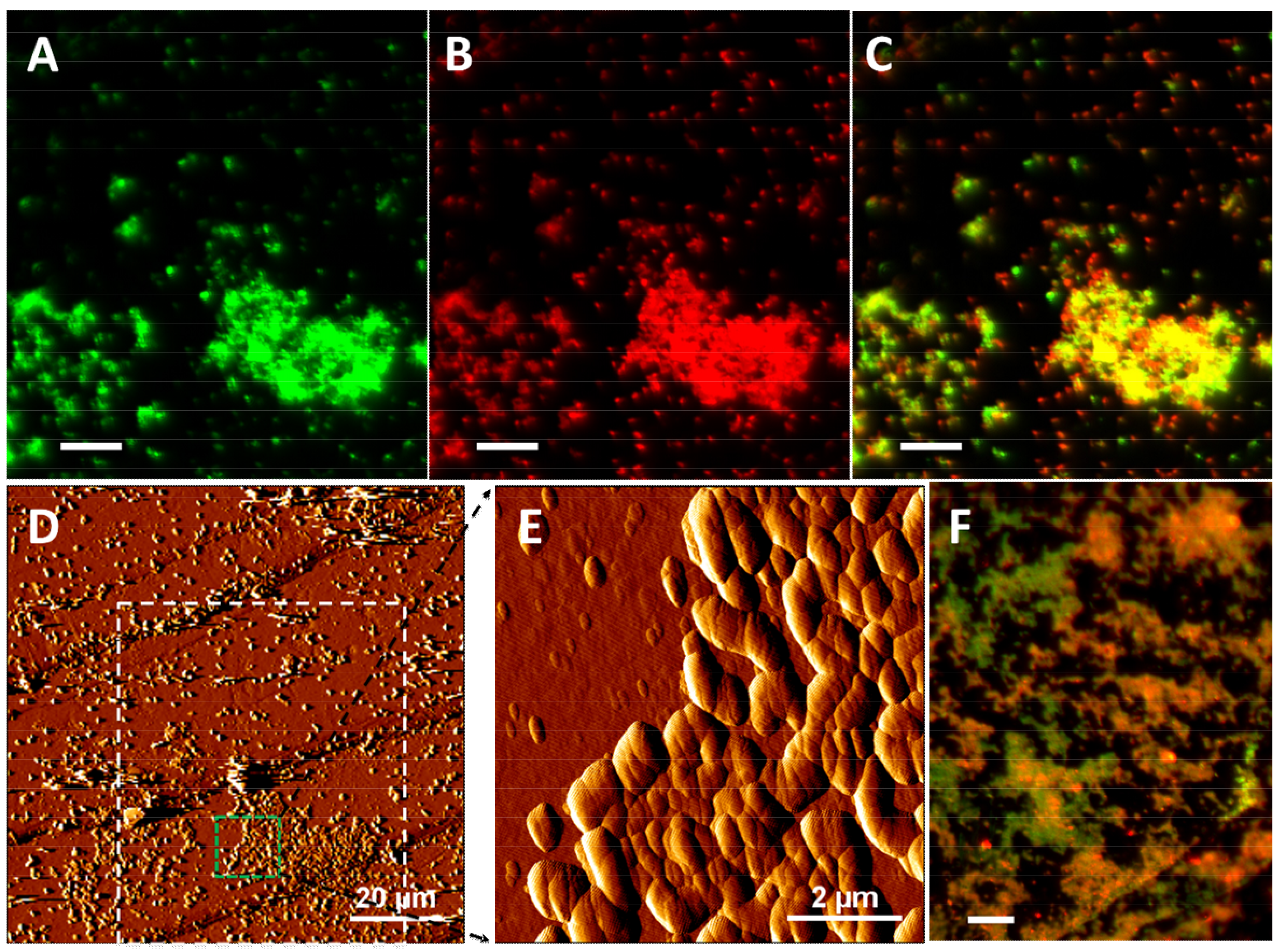 Minerals 09 00069 g003 Minerals 09 00069 g003