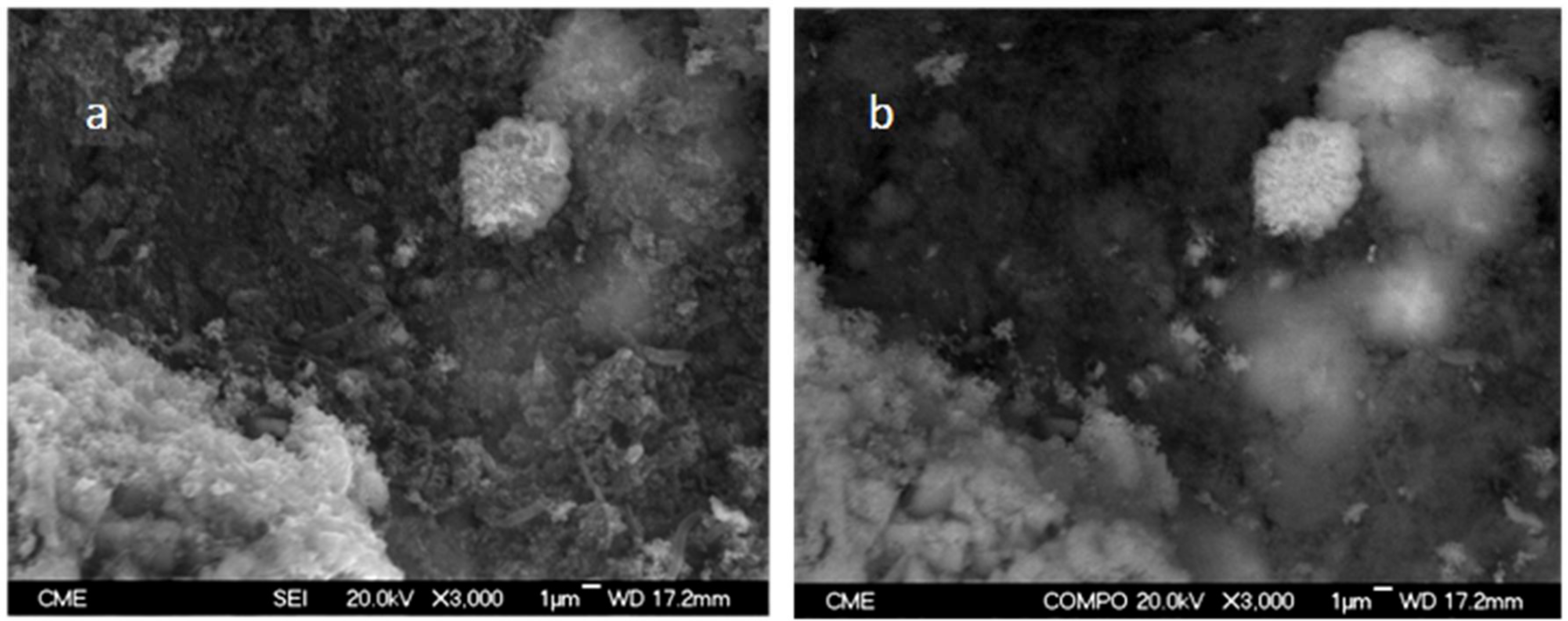 Minerals 09 00081 g005
