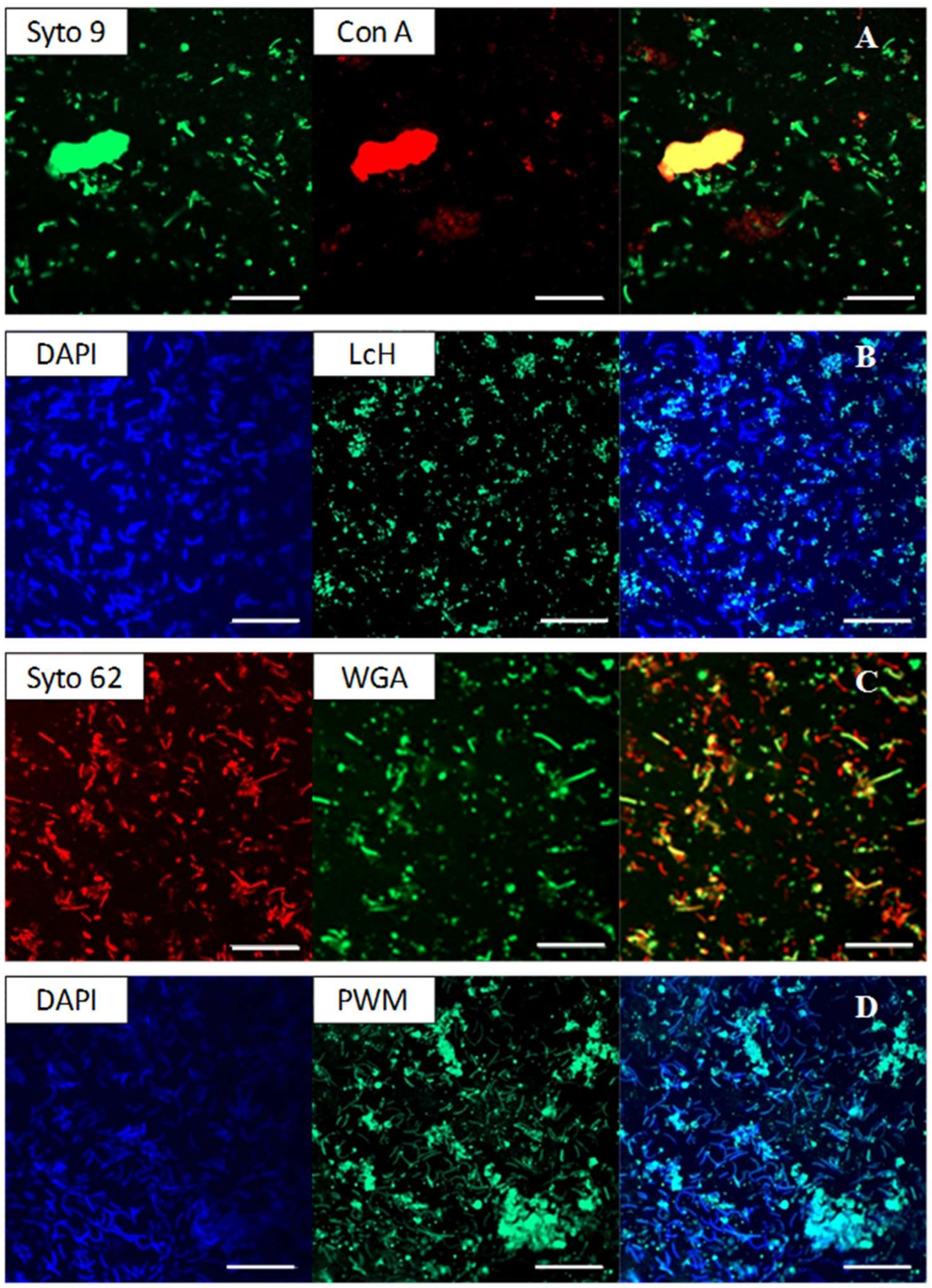 Minerals 09 00081 g006