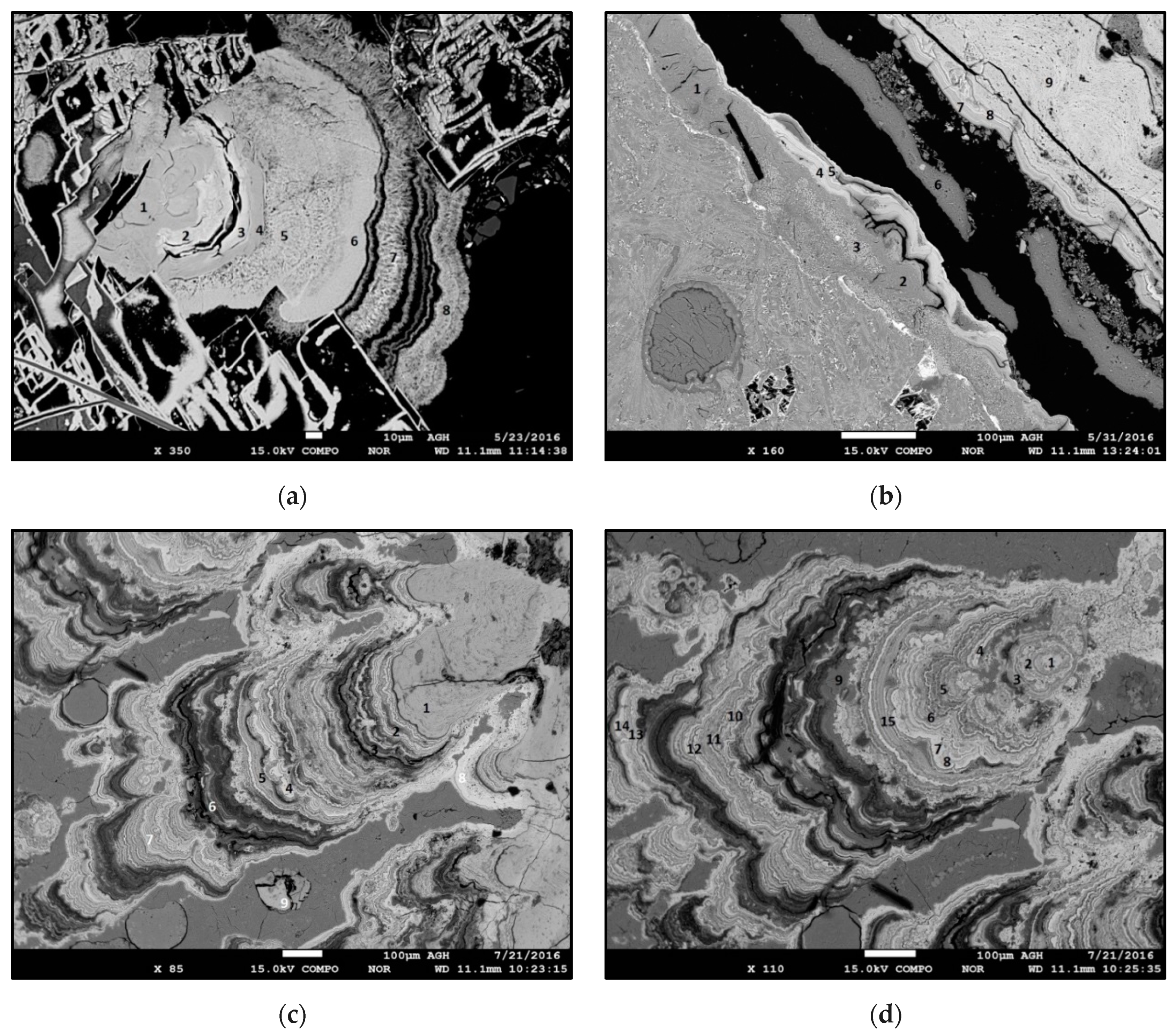 Minerals 09 00084 g007