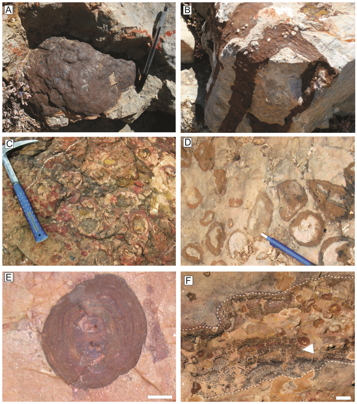 Minerals 09 00088 g004