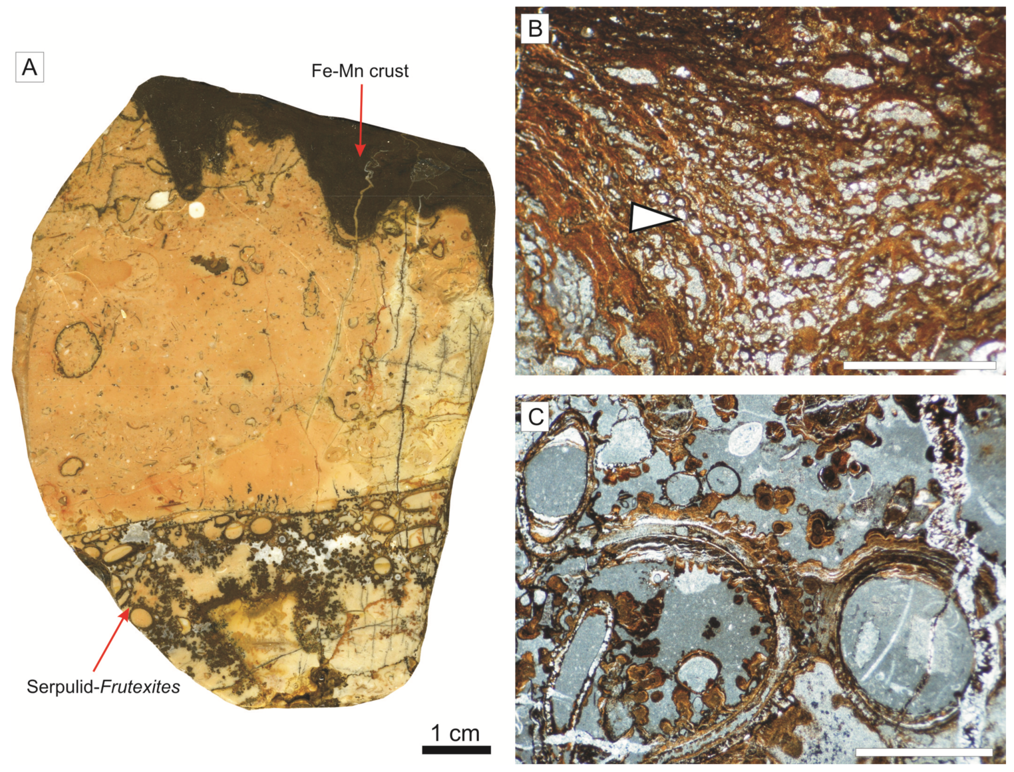 Minerals 09 00088 g005