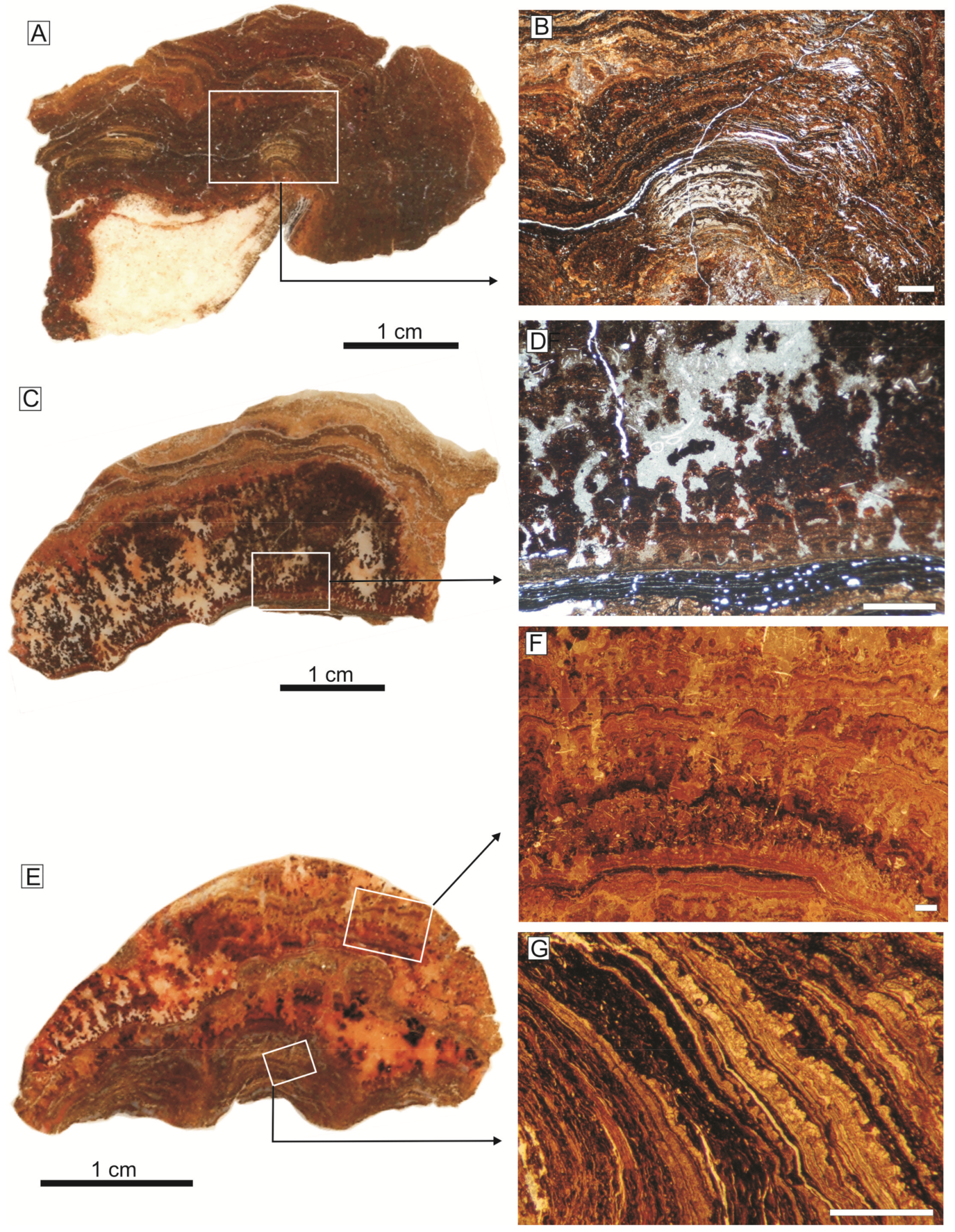 Minerals 09 00088 g006