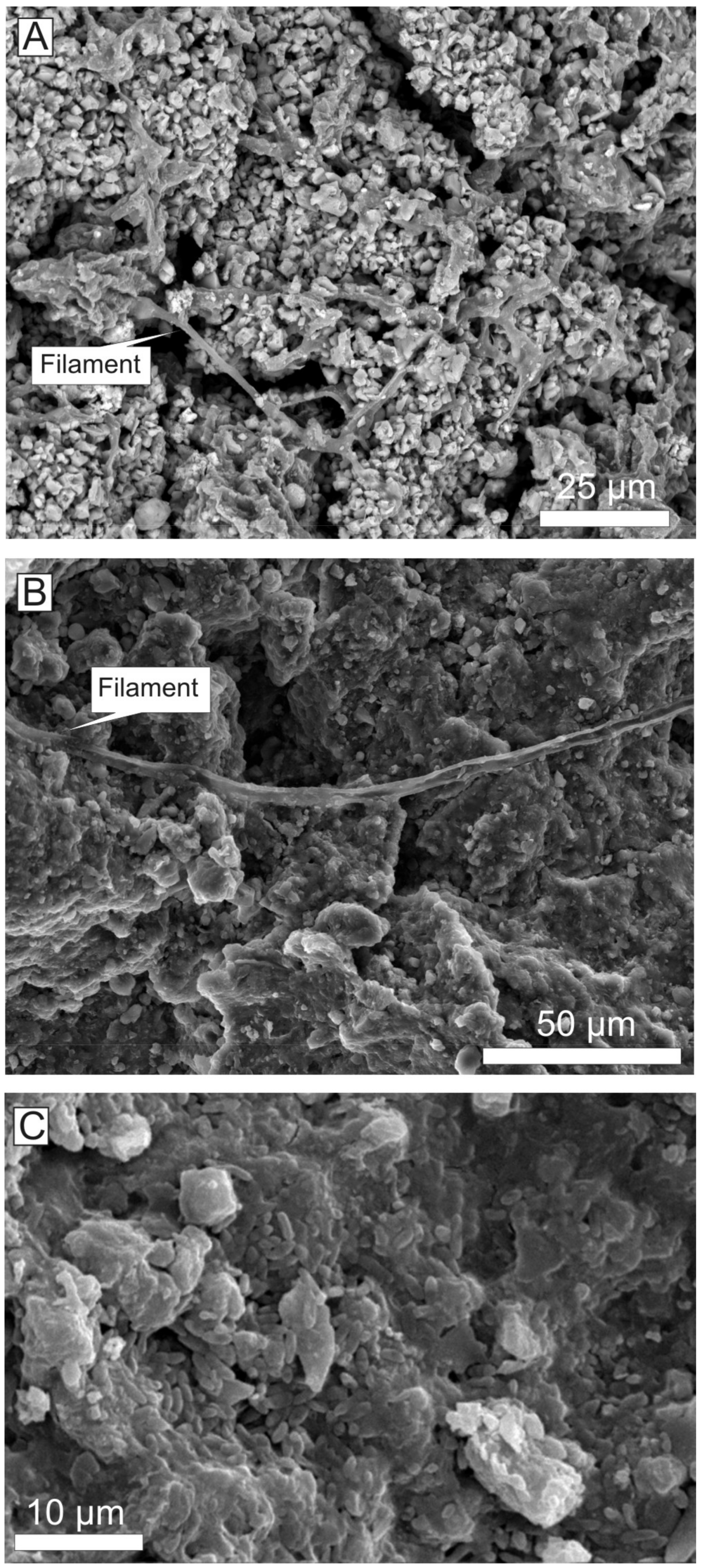 Minerals 09 00088 g012