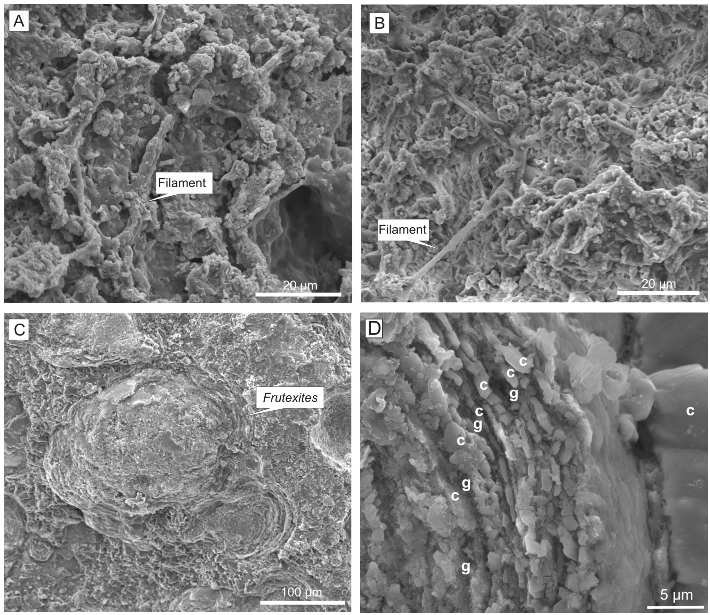 Minerals 09 00088 g013