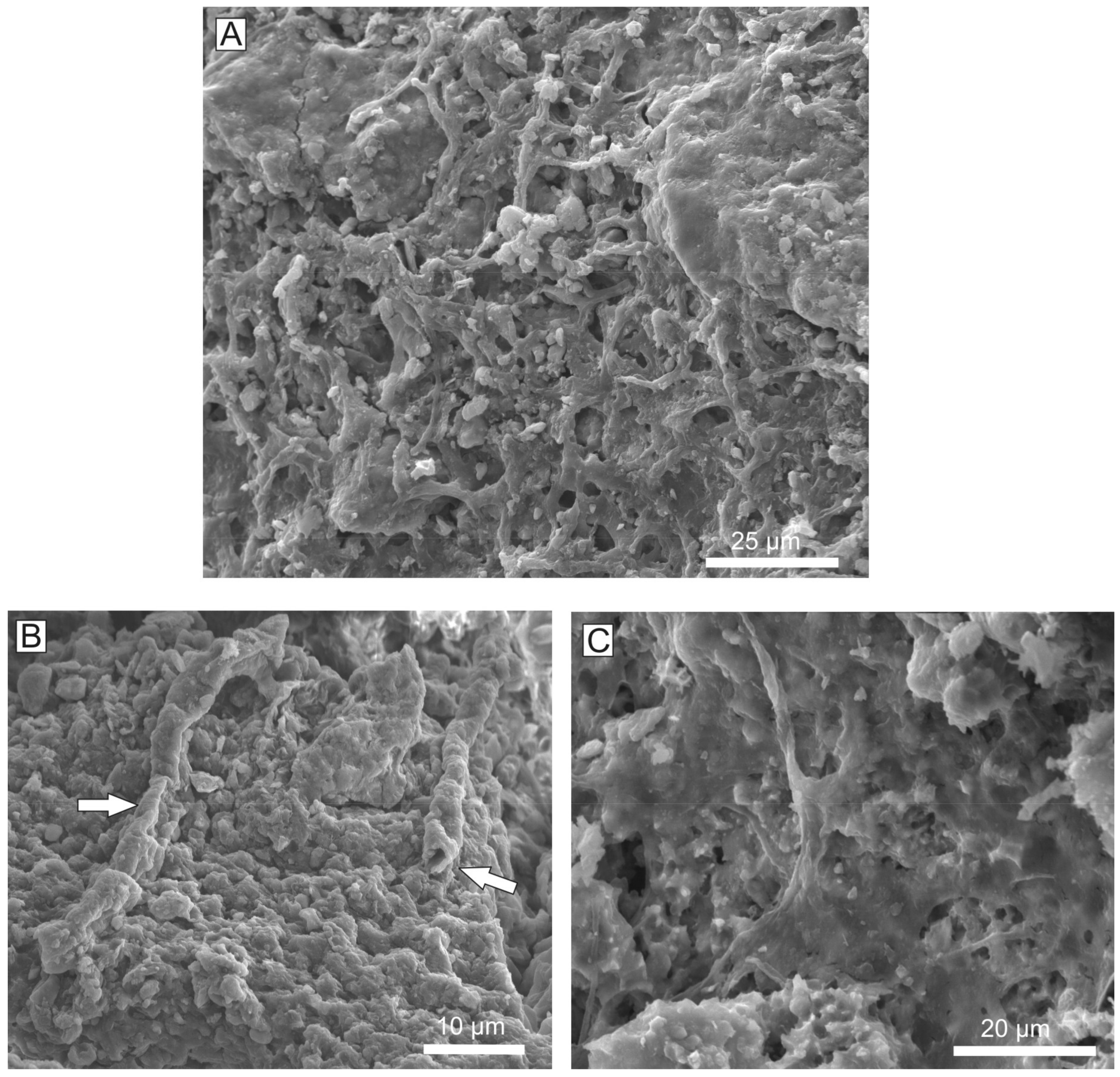 Minerals 09 00088 g015
