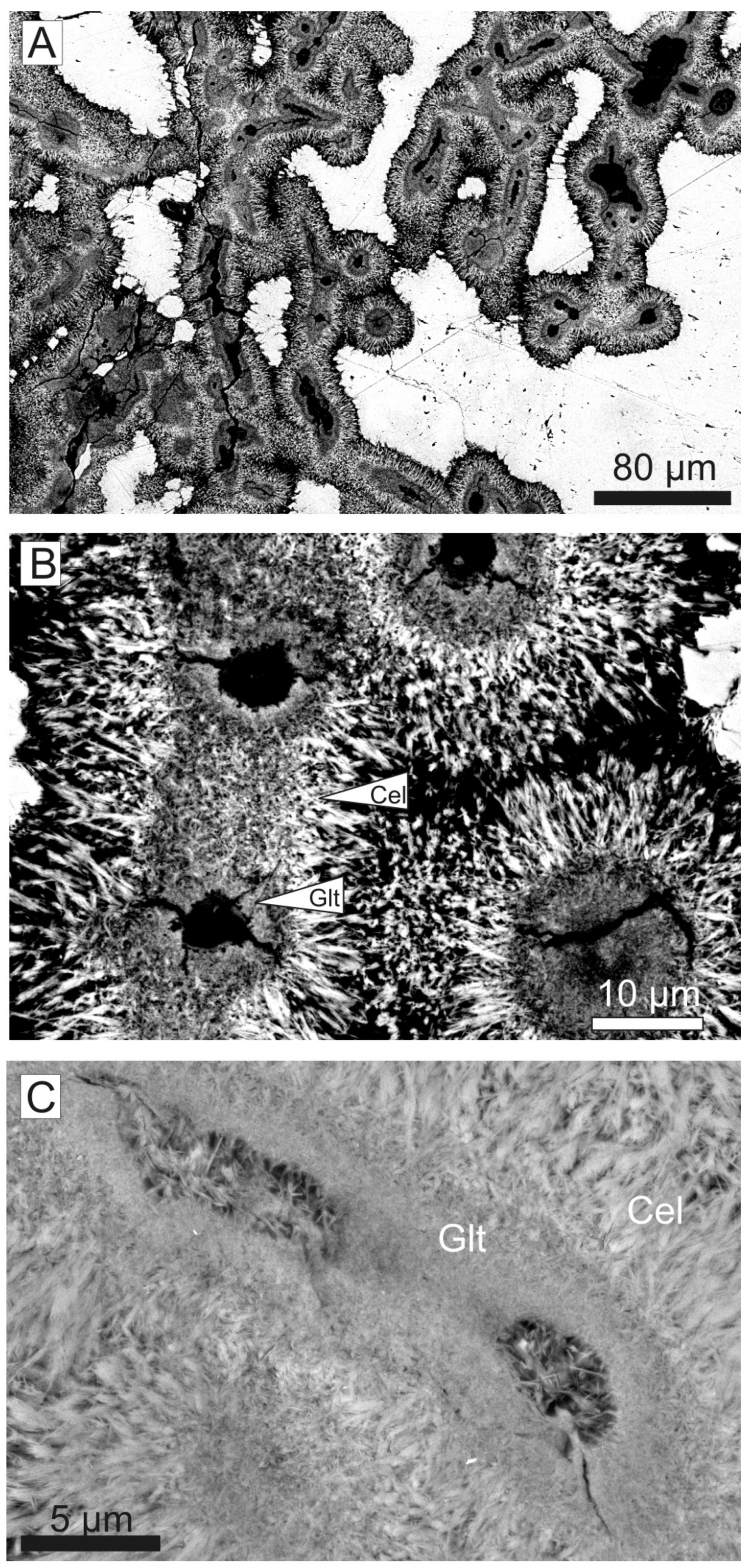 Minerals 09 00088 g019