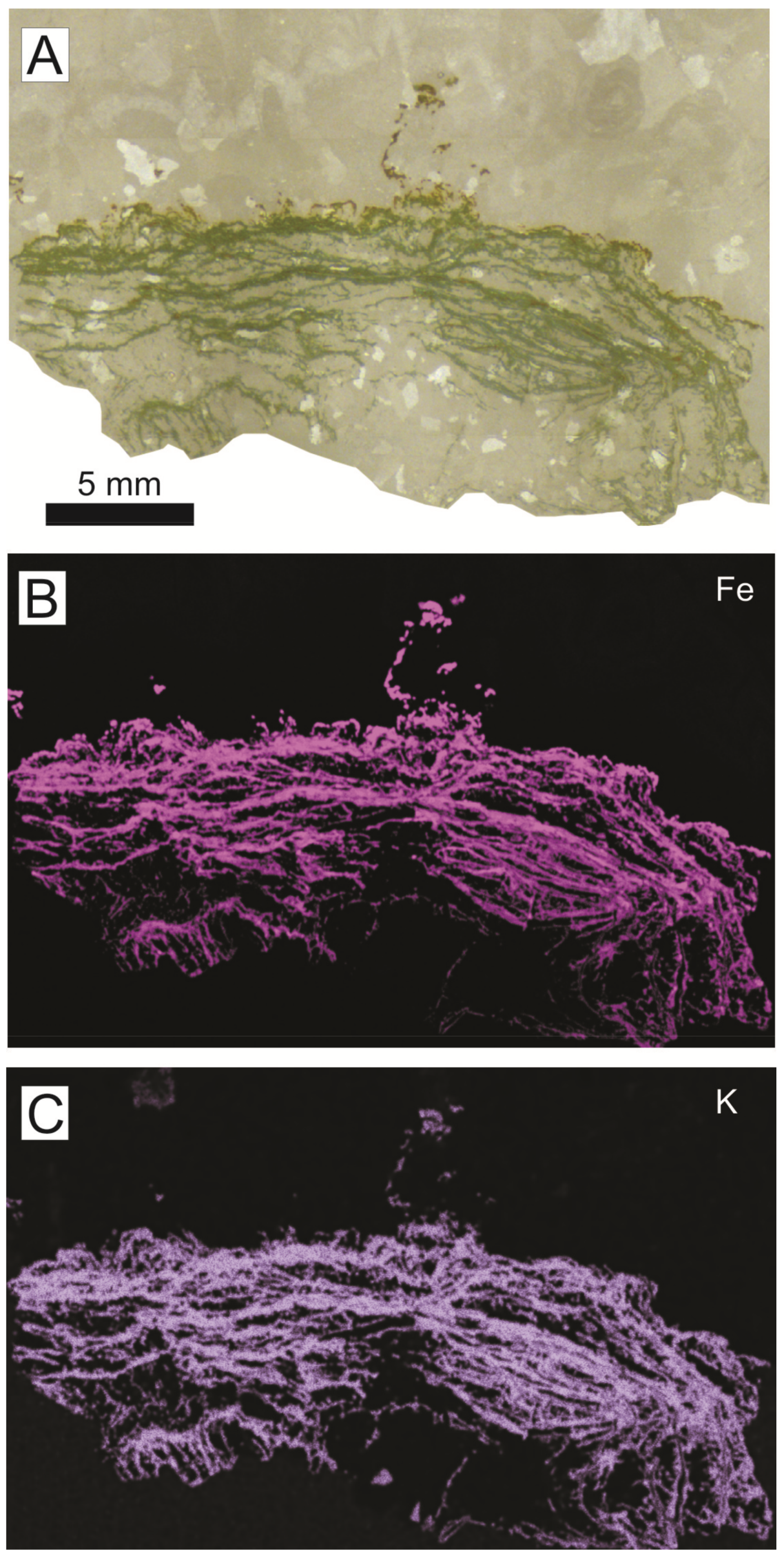 Minerals 09 00088 g020