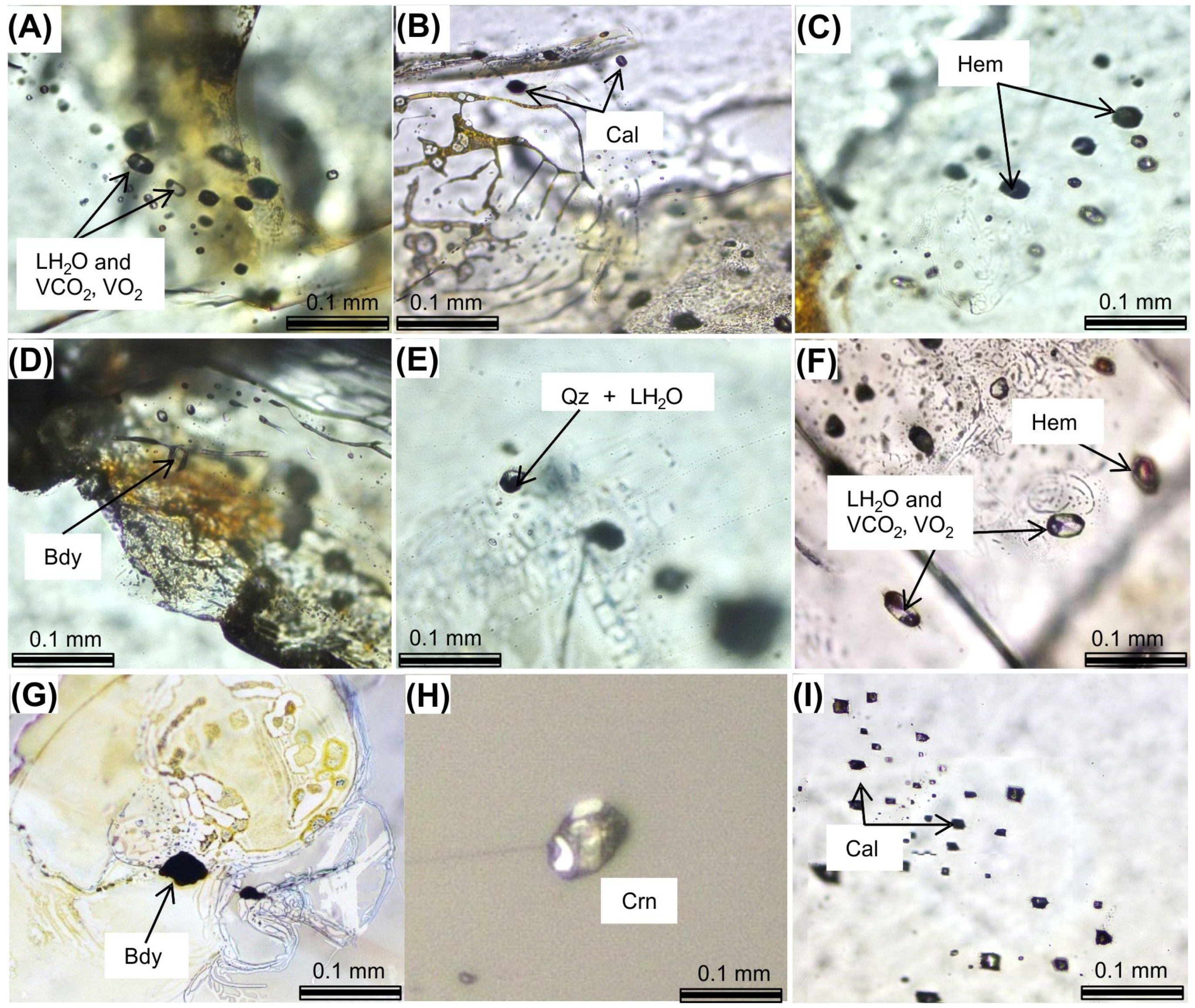 Minerals 09 00089 g003