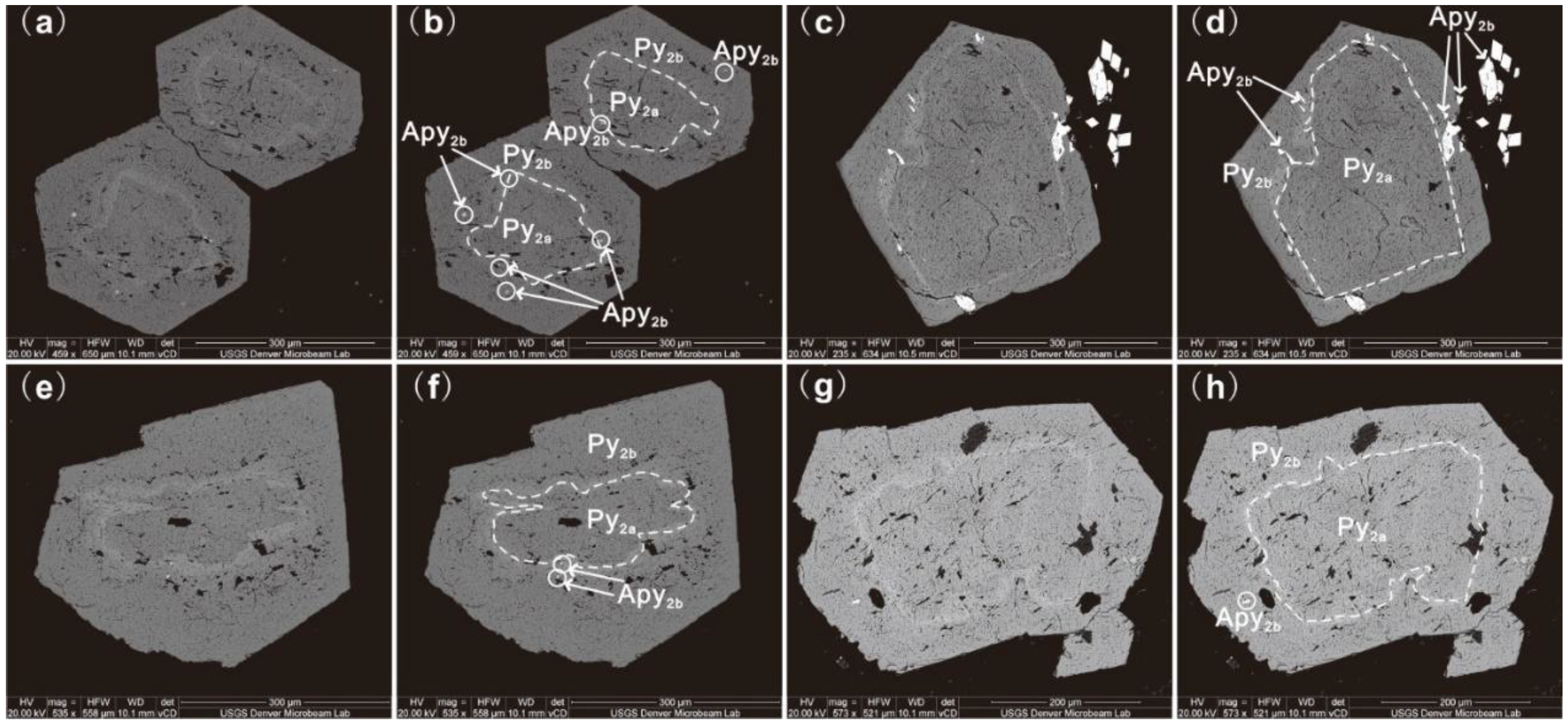 Minerals 09 00092 g005