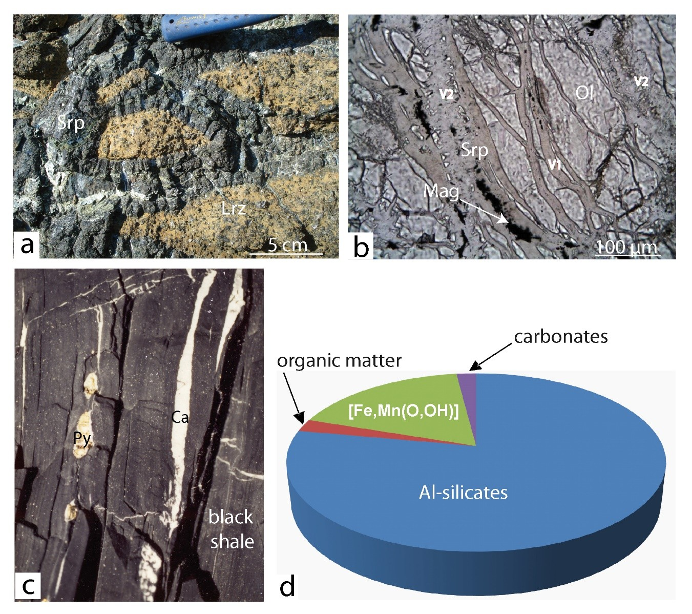 Minerals 09 00105 g009