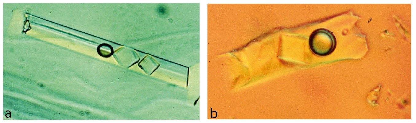 Minerals 09 00105 g025