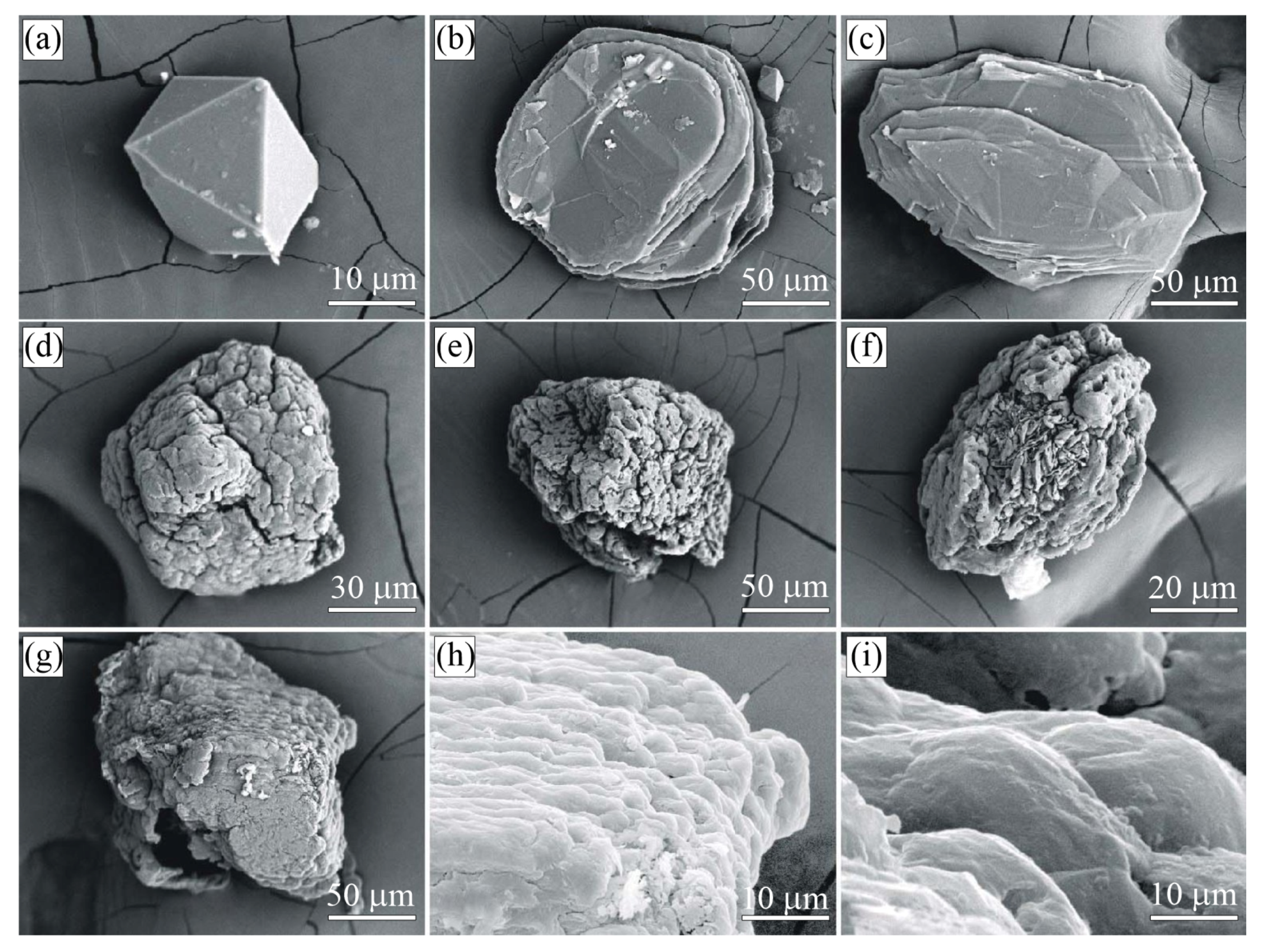 Minerals 09 00110 g004