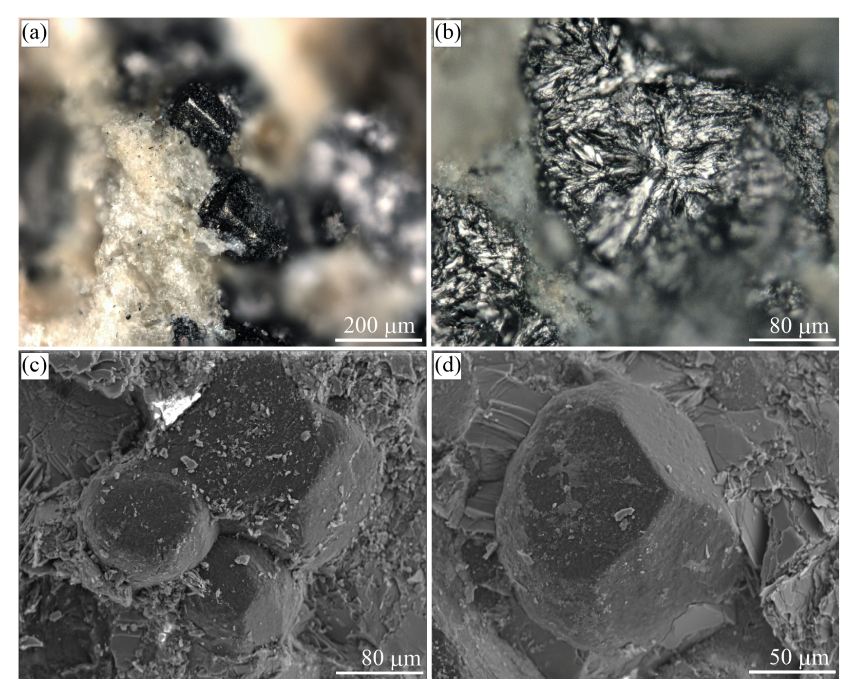 Minerals 09 00110 g010