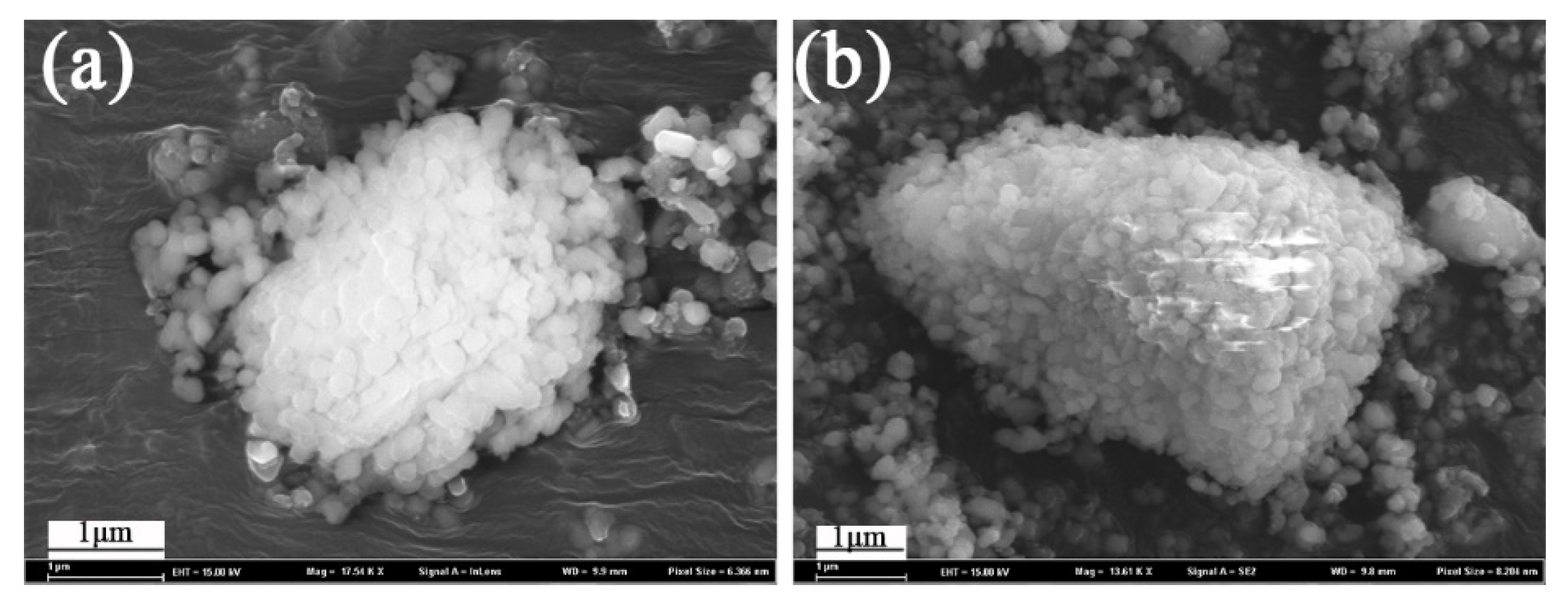 Minerals 09 00112 g006