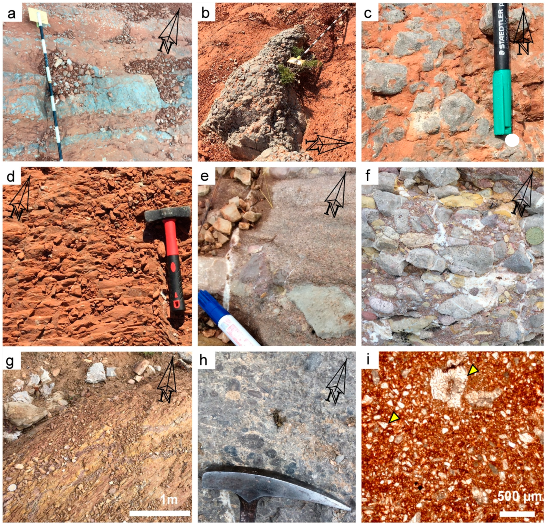 Minerals 09 00117 g005