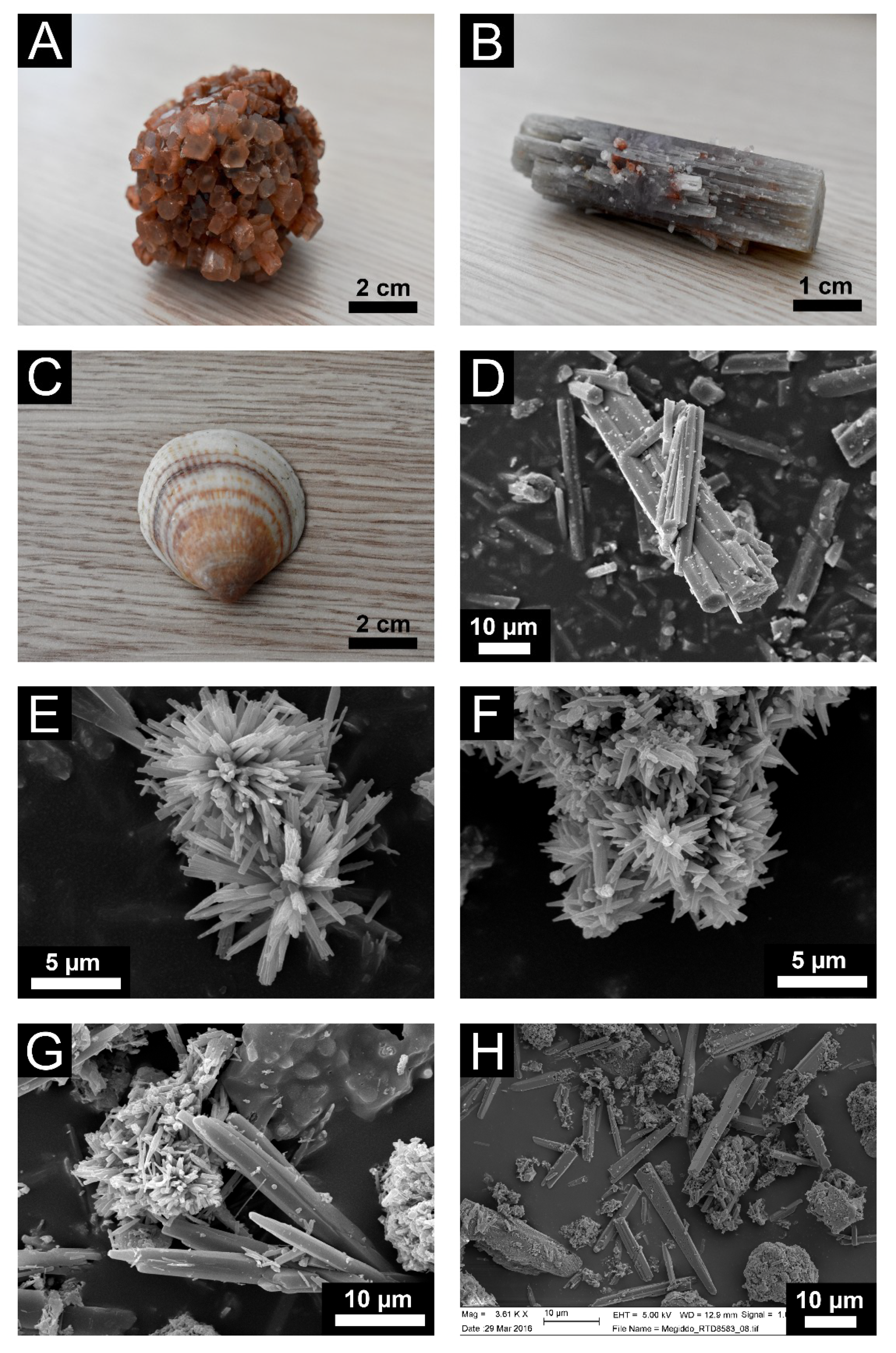 Minerals 09 00121 g002