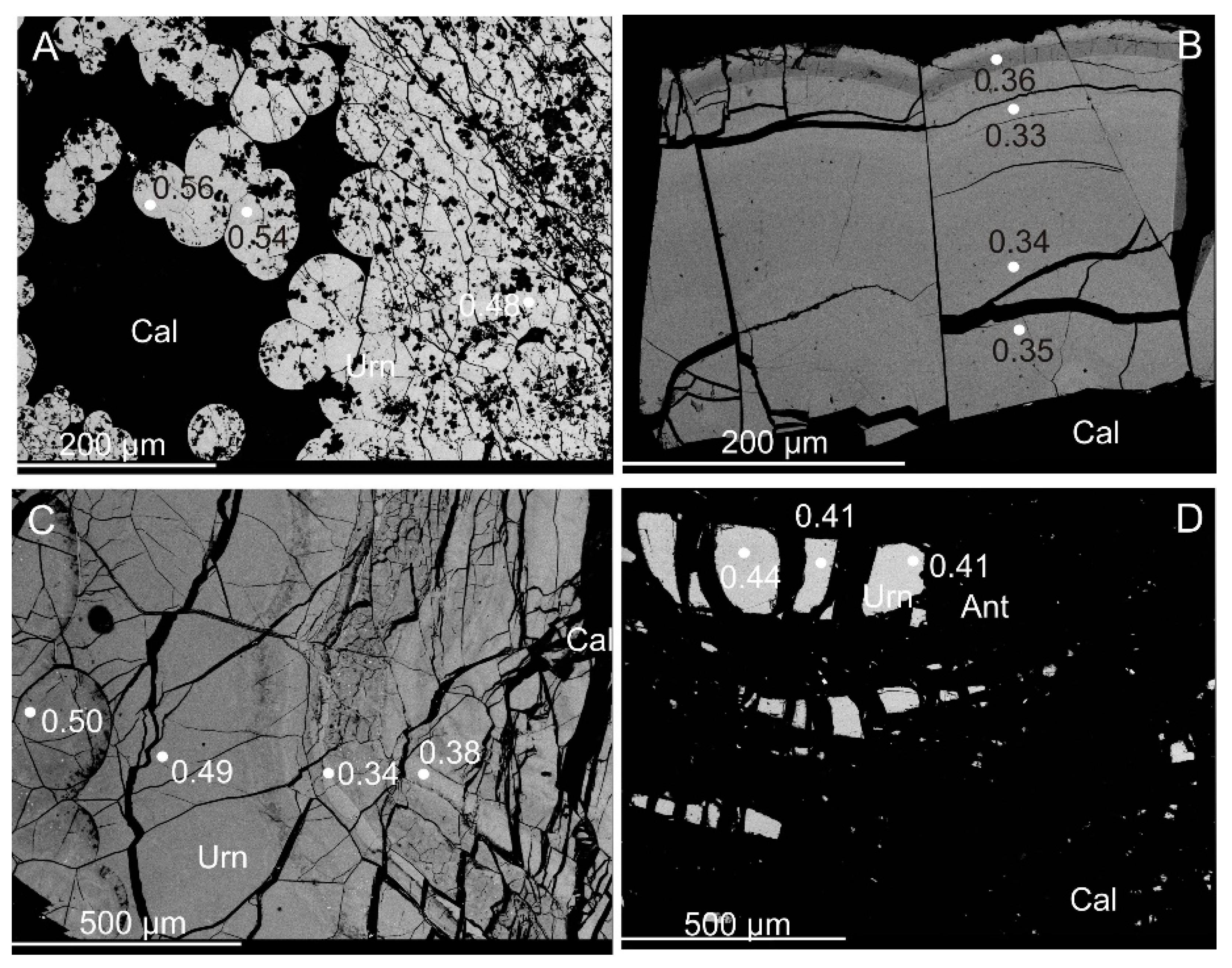 Minerals 09 00123 g006