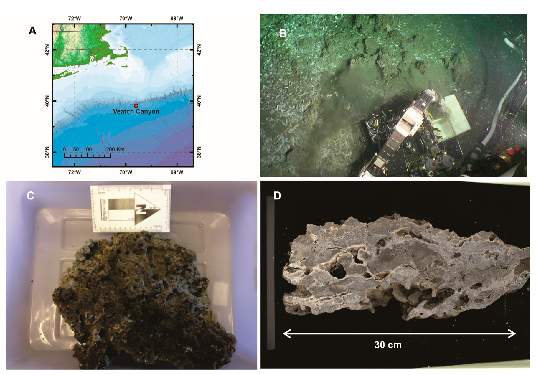 Minerals 09 00138 g001