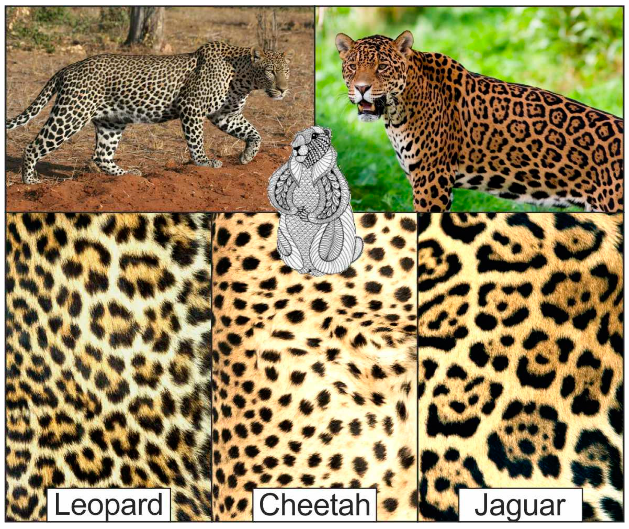 Minerals 09 00148 g008