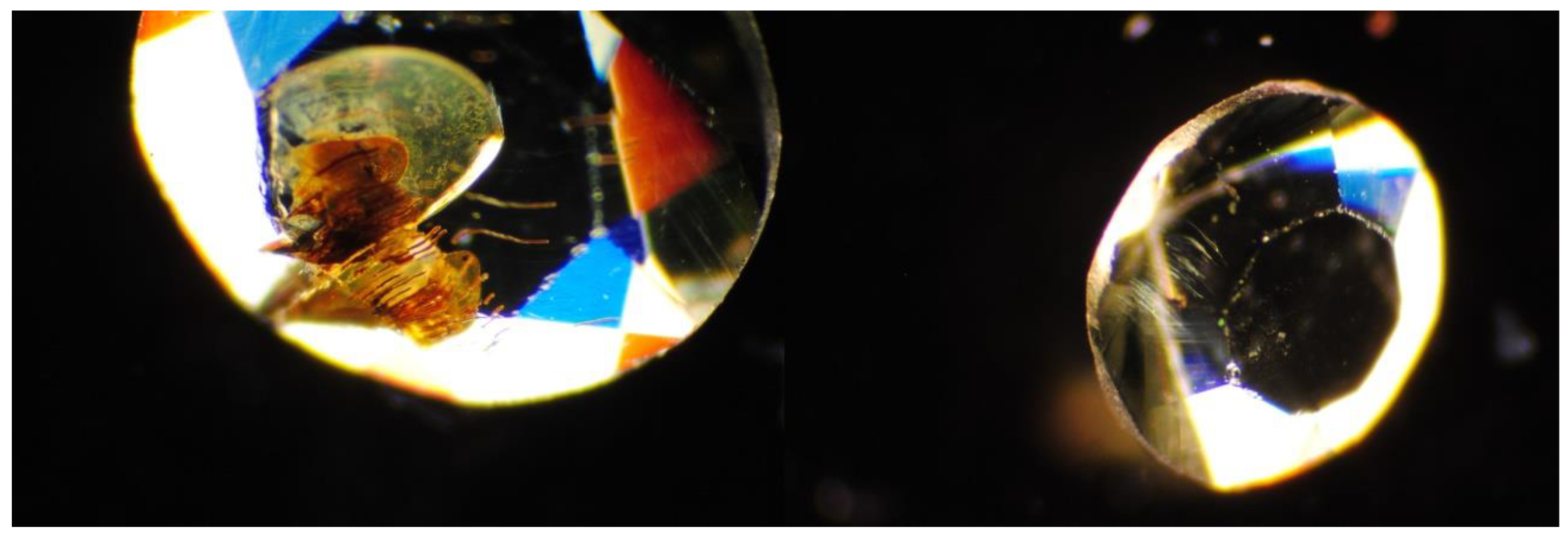 Minerals 09 00164 g003 Minerals 09 00164 g003