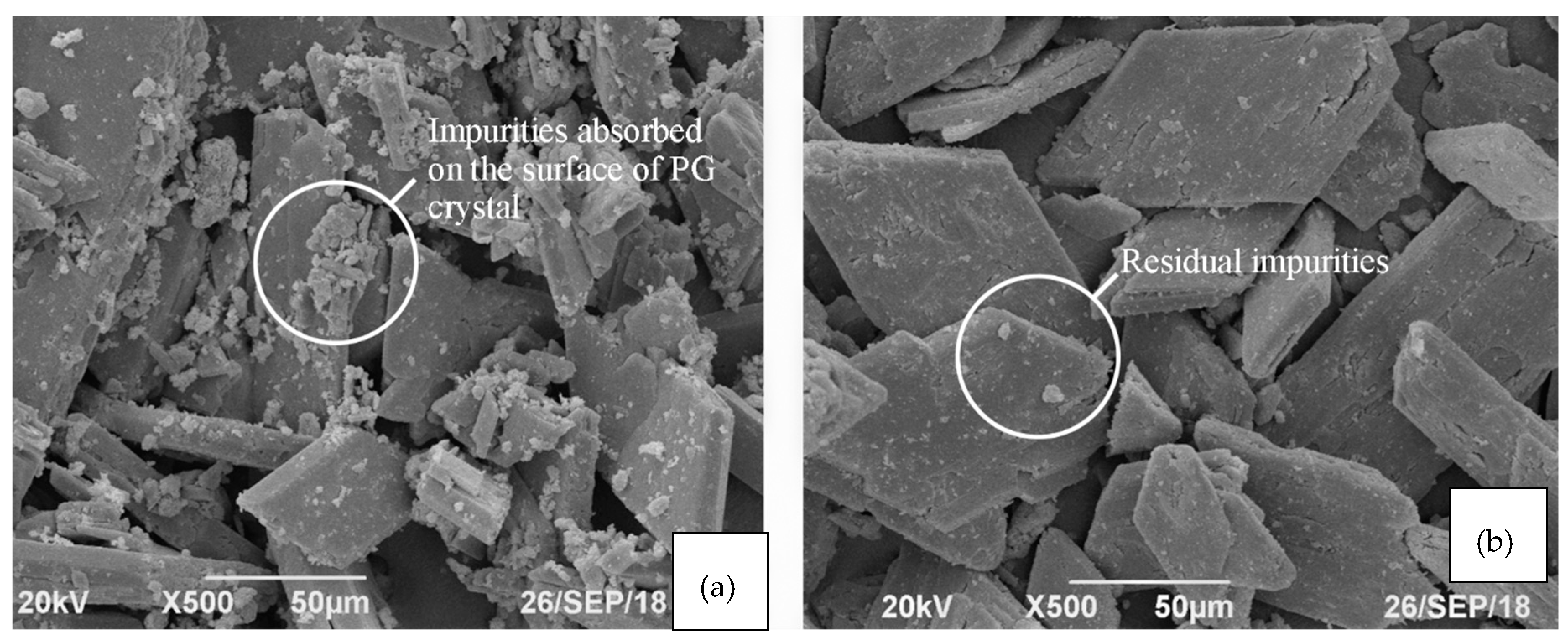 Minerals 09 00175 g005