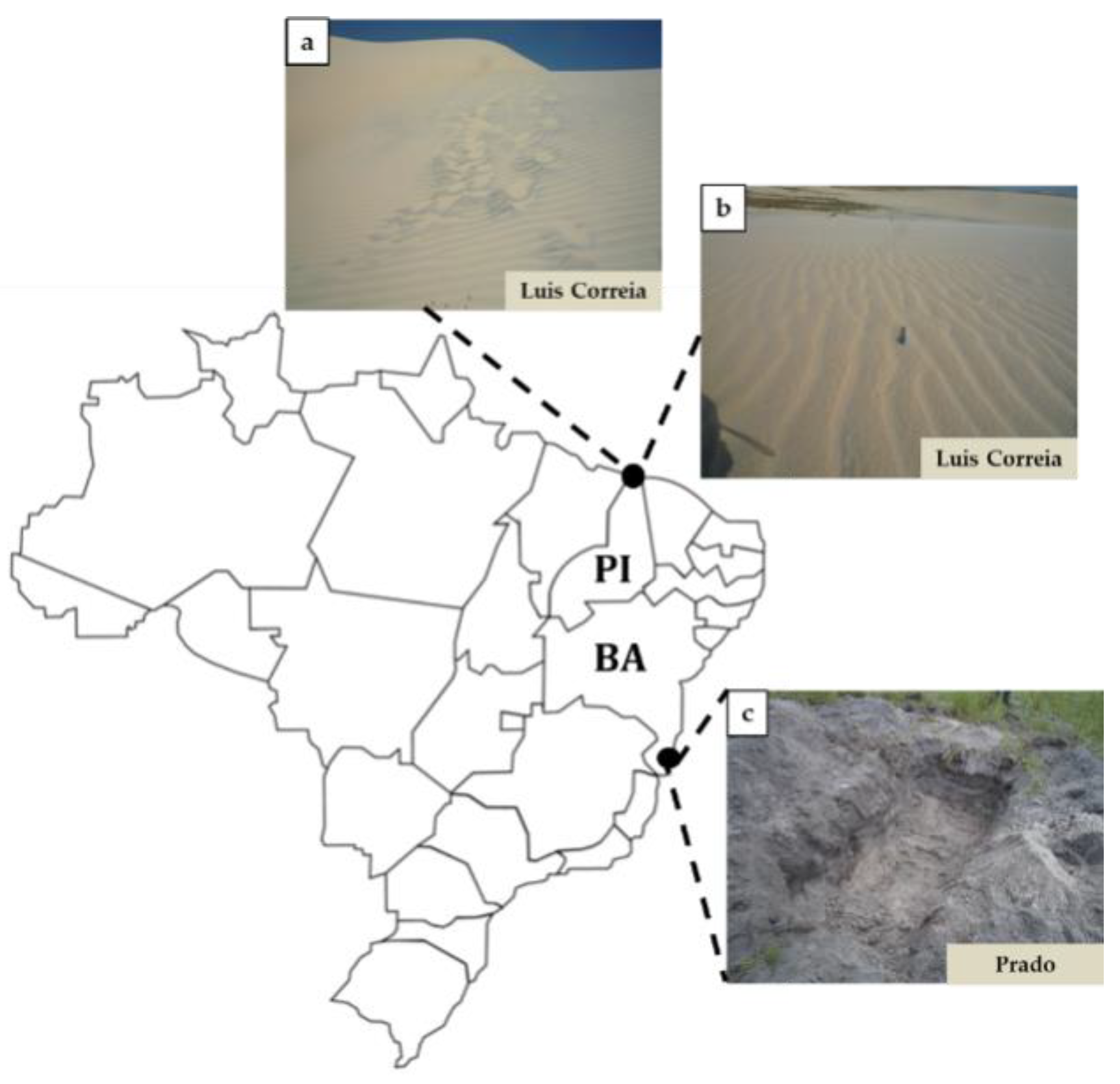 Minerals 09 00176 g003