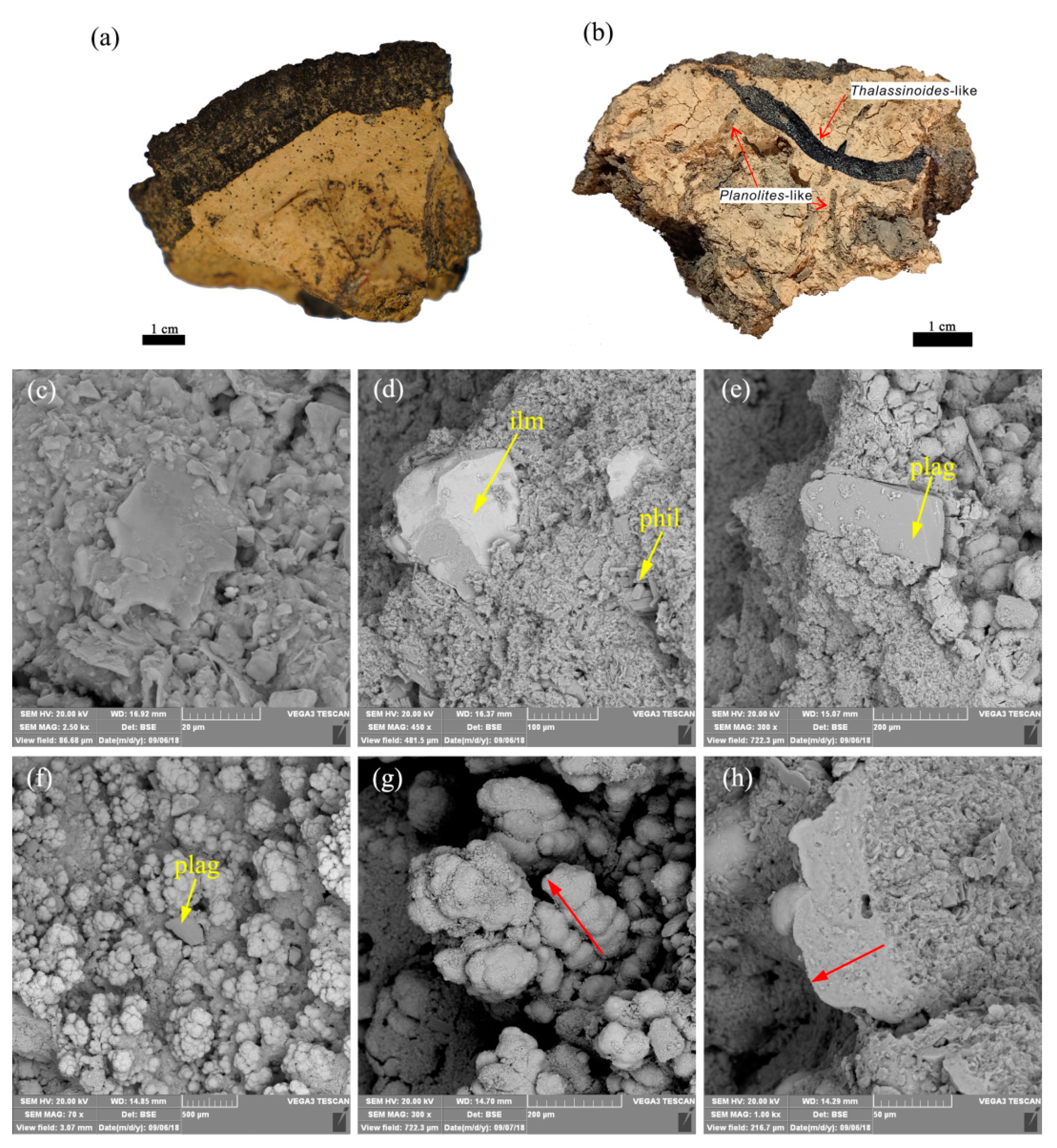 Minerals 09 00177 g002 Minerals 09 00177 g002