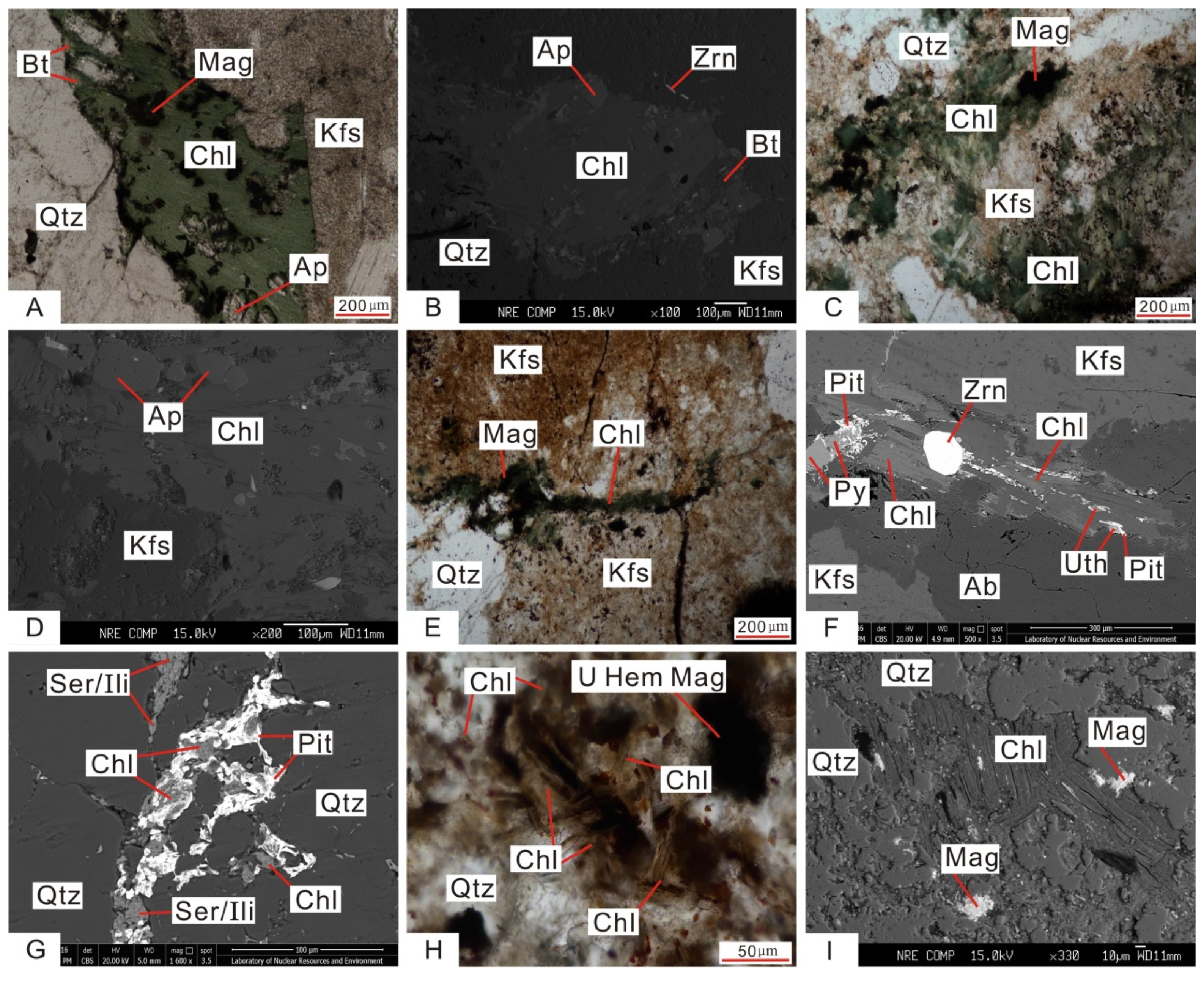Minerals 09 00199 g005