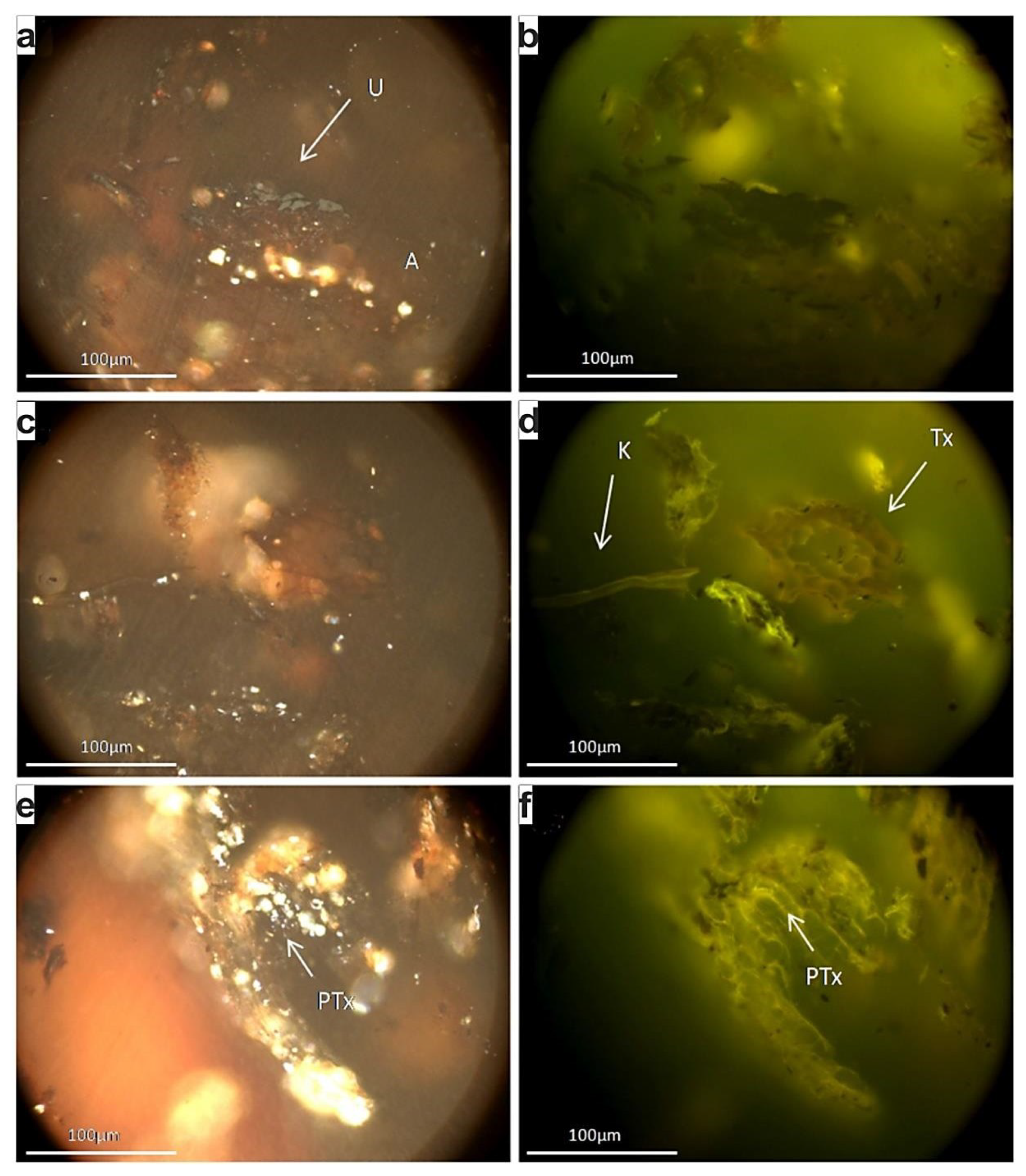 Minerals 09 00207 g006