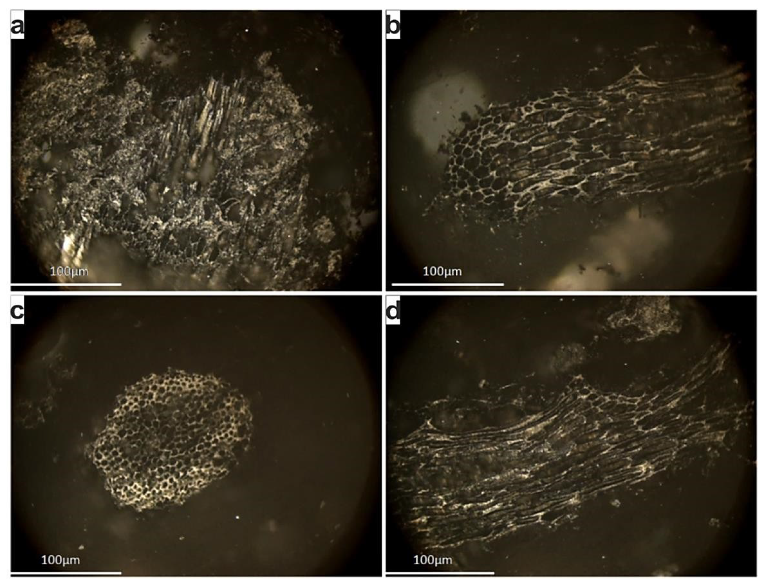 Minerals 09 00207 g007