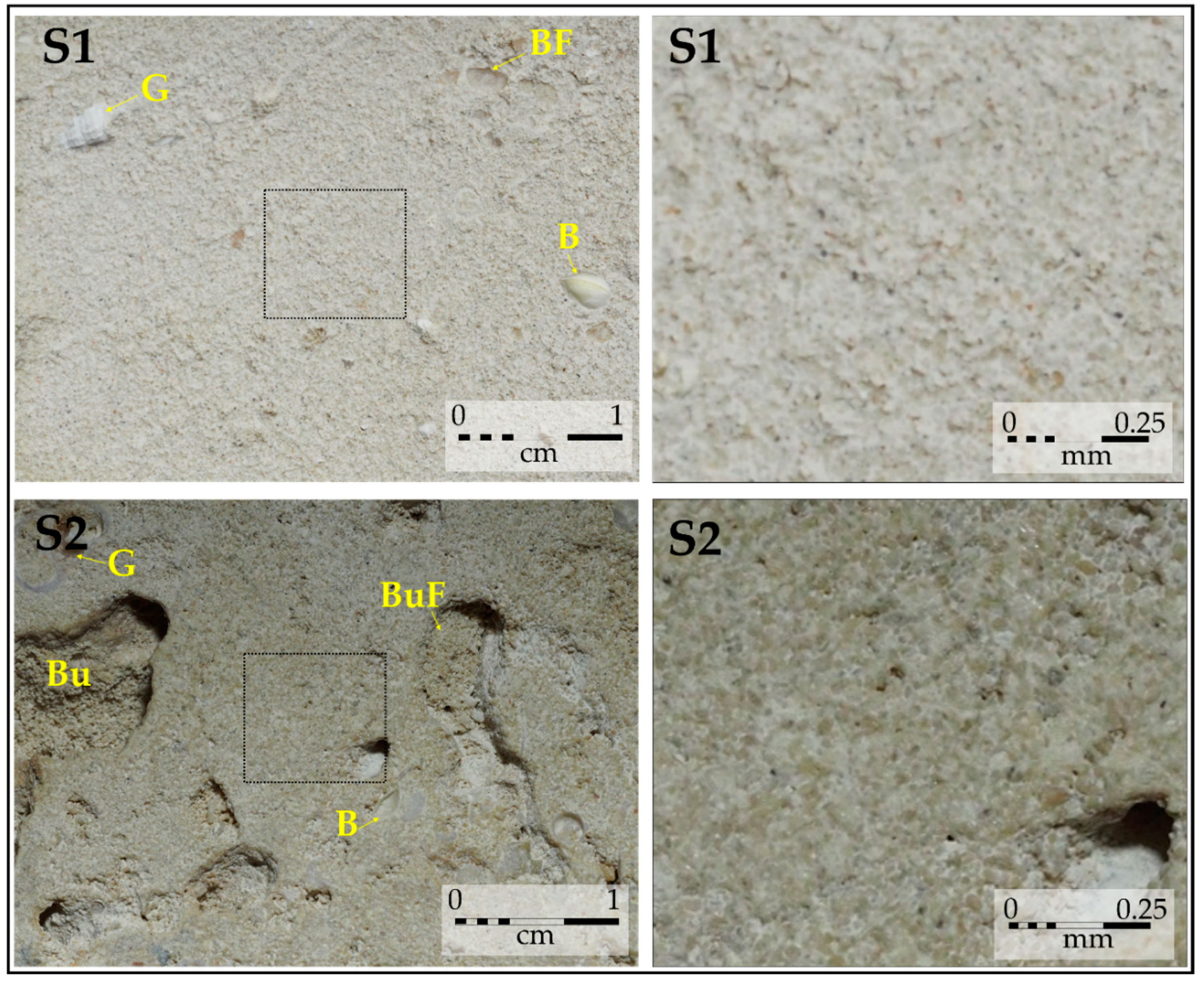 Minerals 09 00241 g003