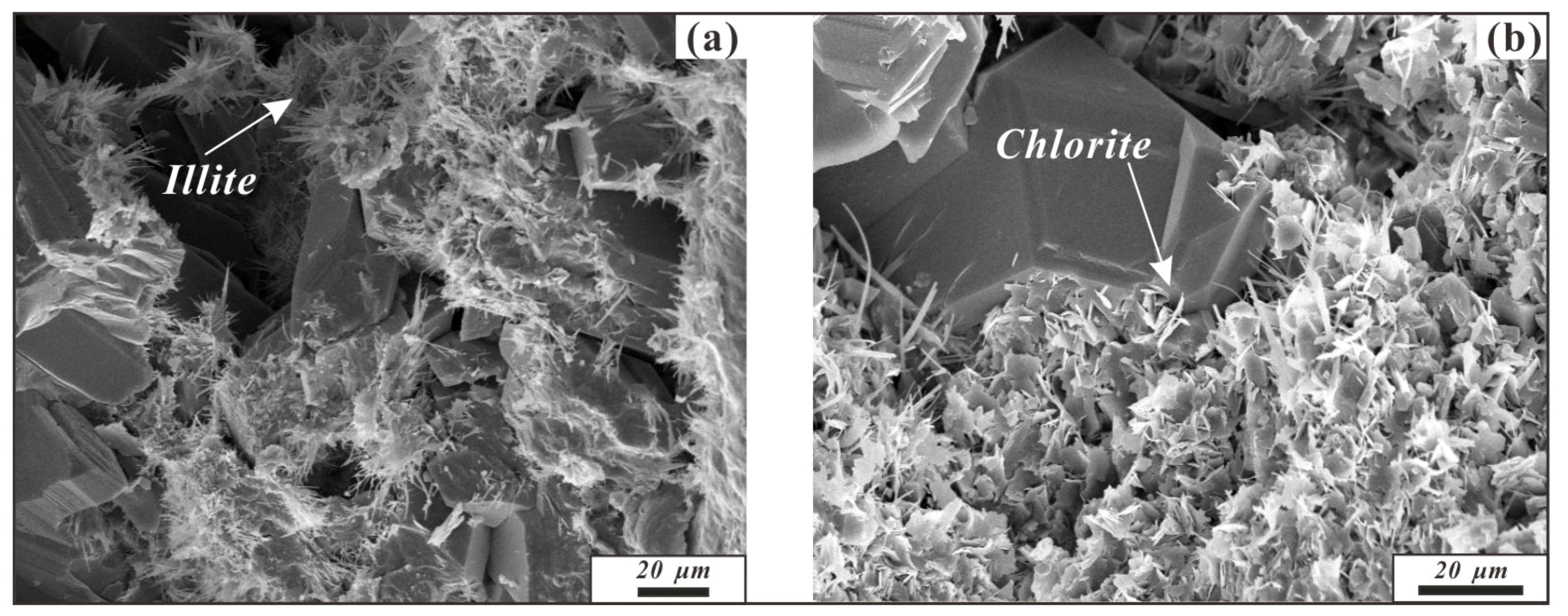 Minerals 09 00242 g008