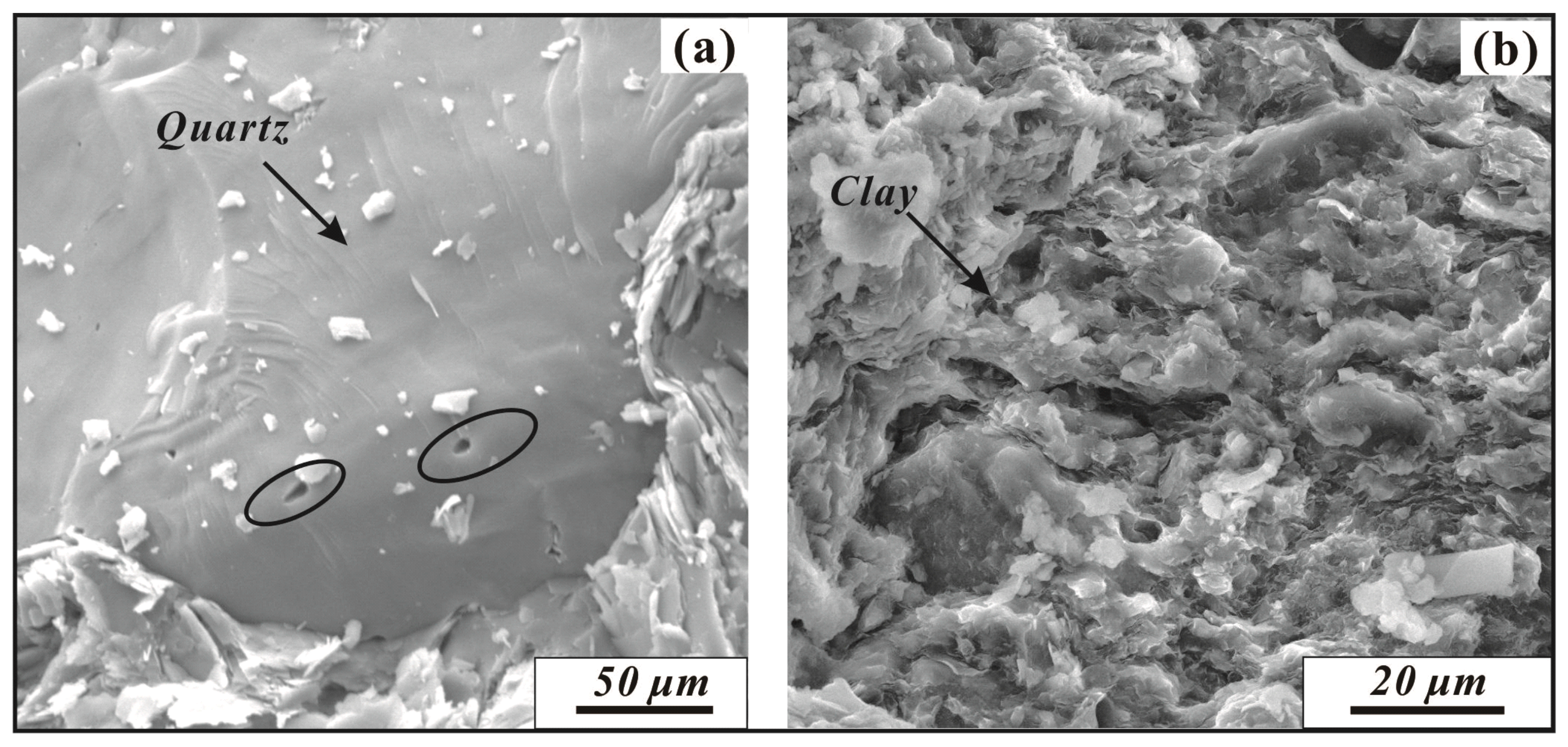 Minerals 09 00242 g010