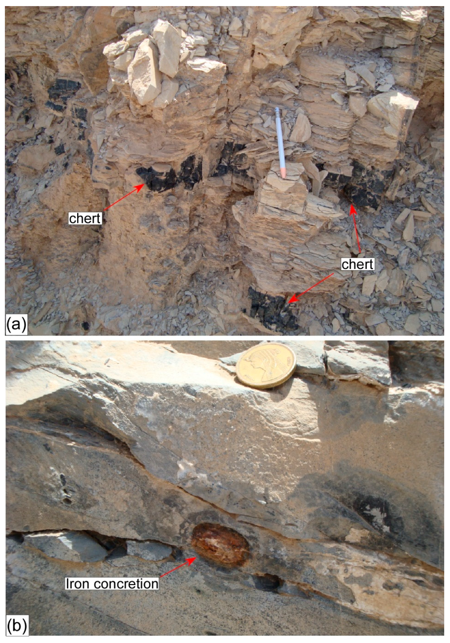 Minerals 09 00279 g004 Minerals 09 00279 g004