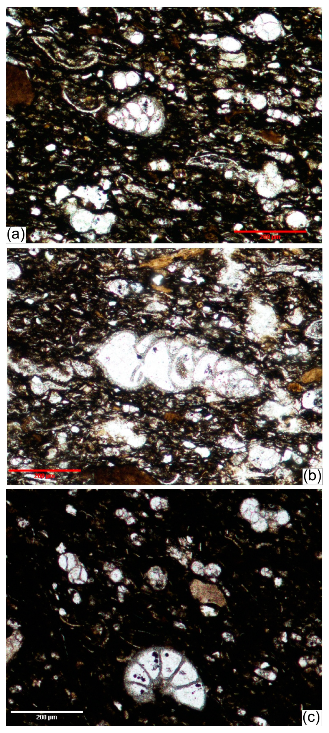 Minerals 09 00279 g007 Minerals 09 00279 g007