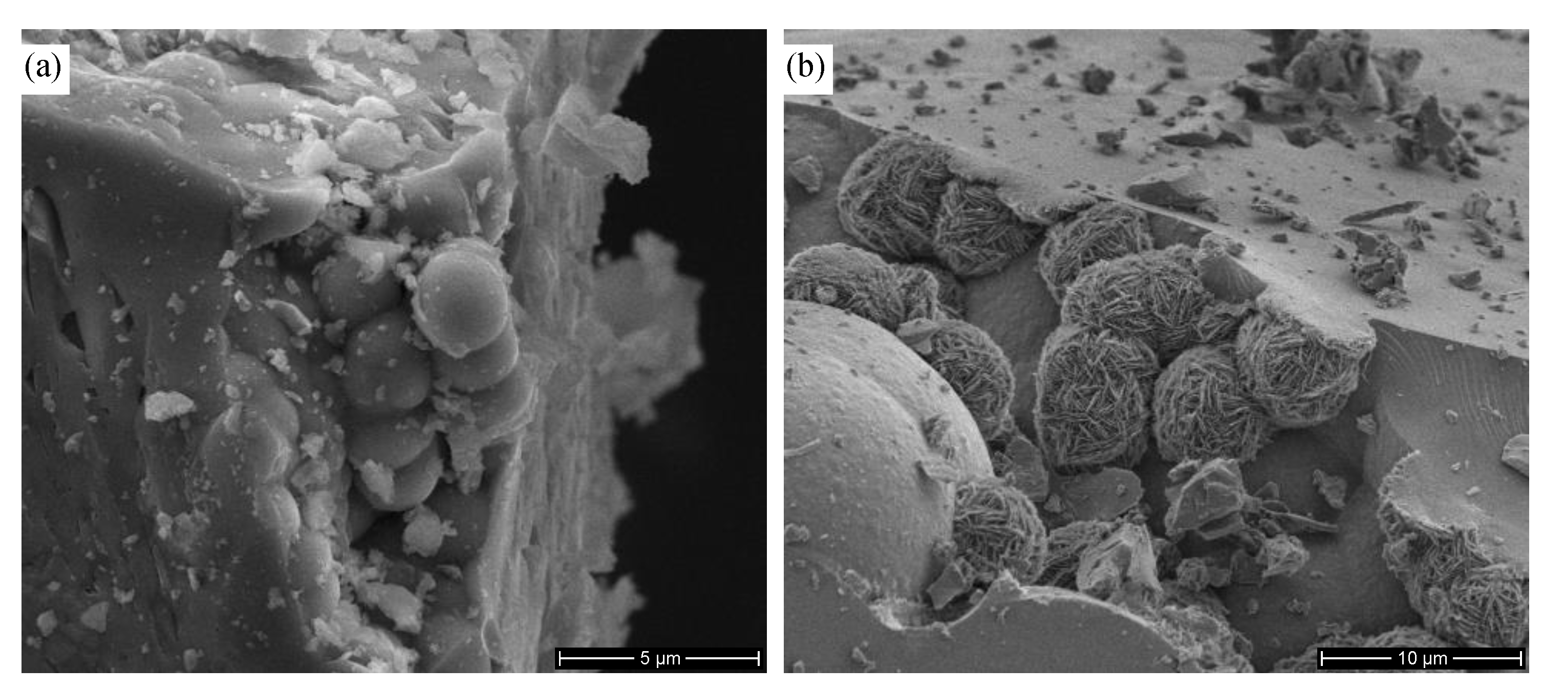 Minerals 09 00299 g010