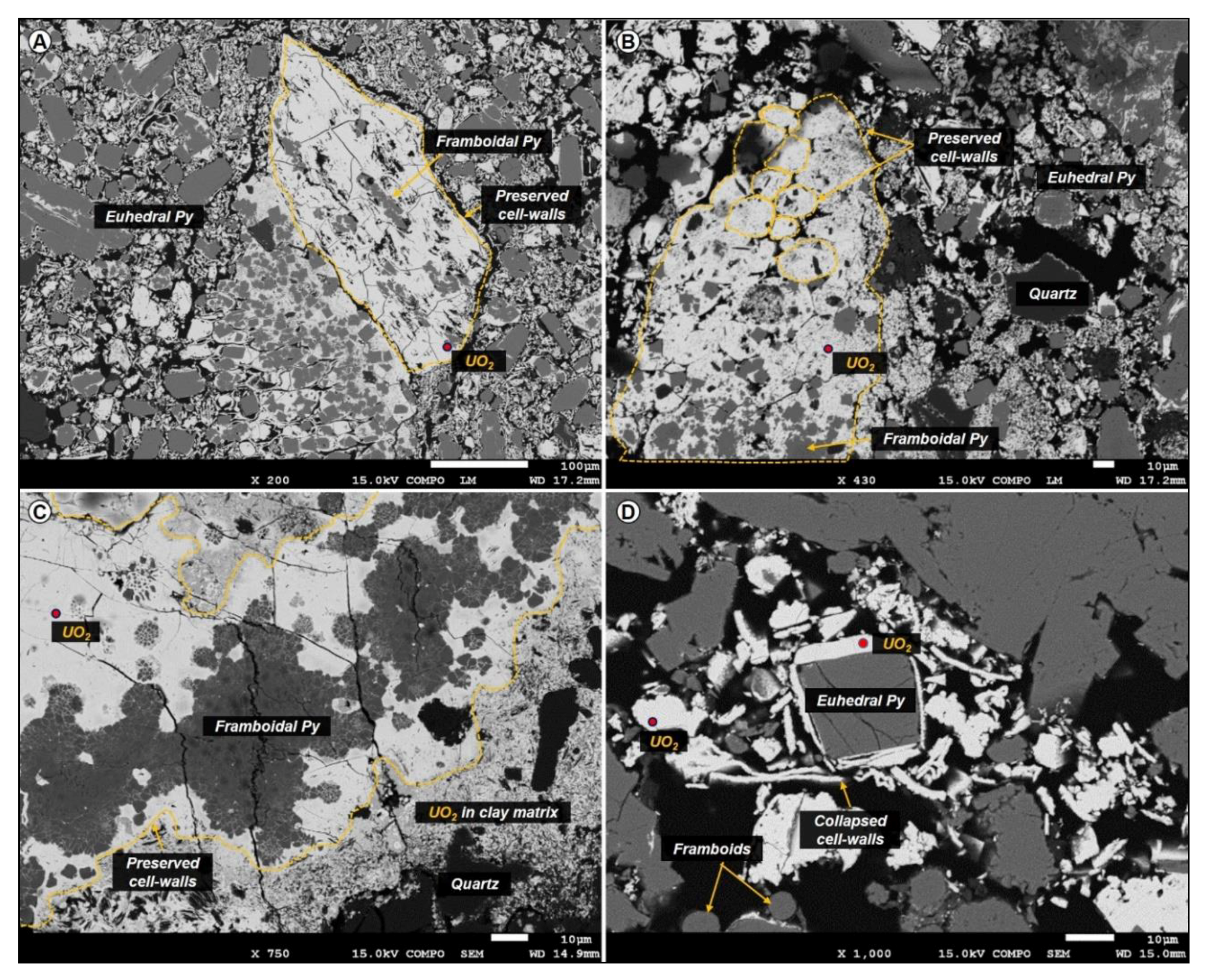 Minerals 09 00310 g013